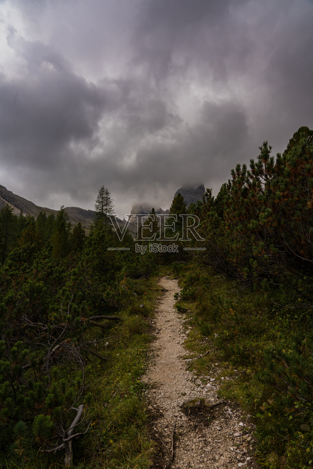 Rifugio popena，被遗忘的避难所照片摄影图片
