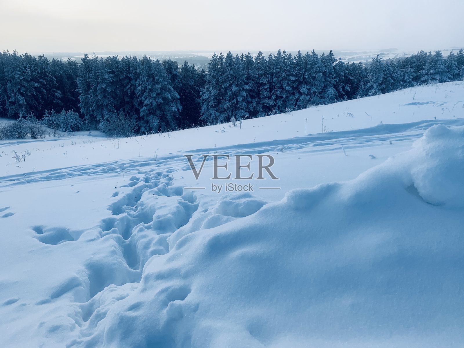 雪的风景。自然在冬天照片摄影图片