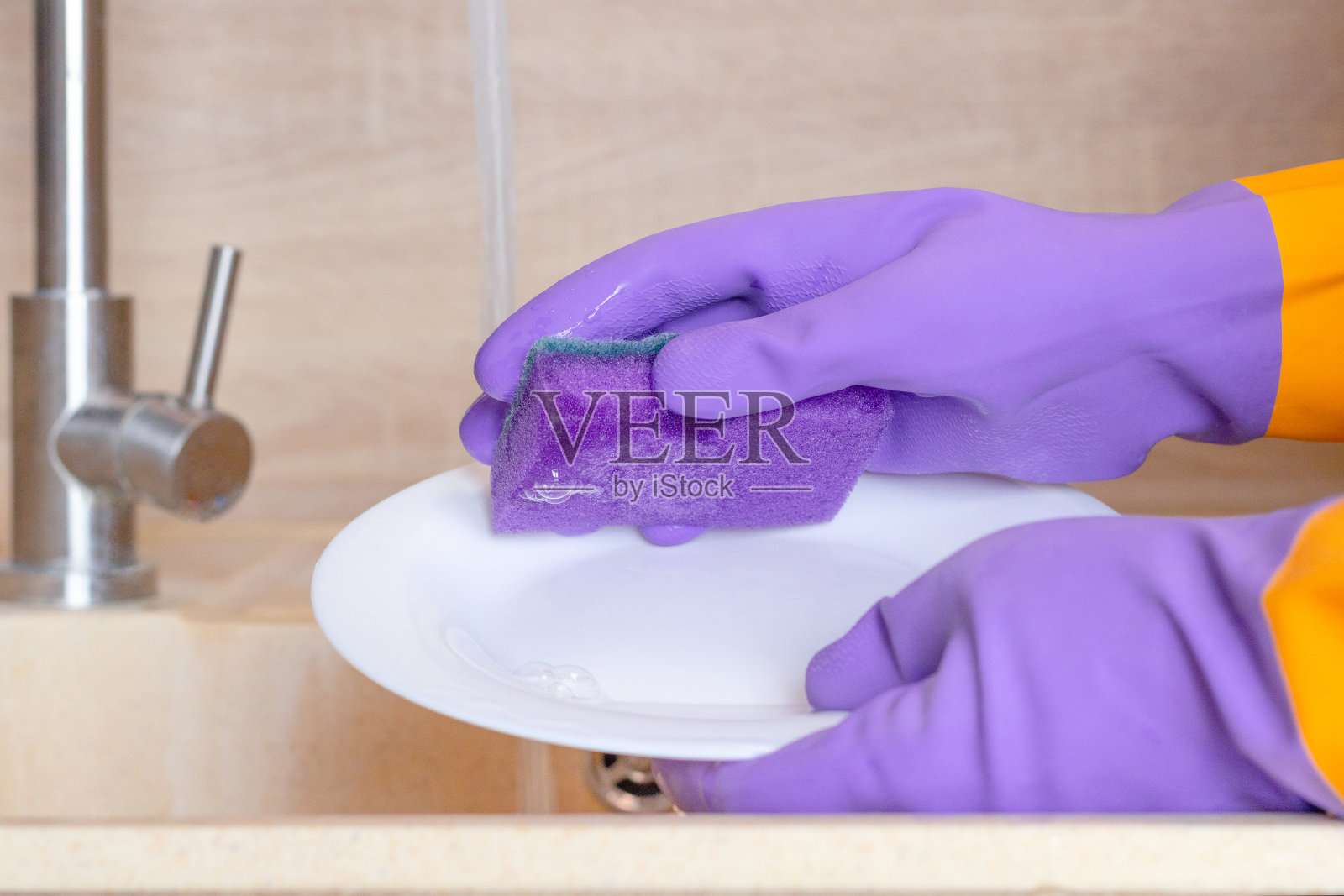 戴着紫色橡胶手套的手正在用紫色海绵洗一个白色的盘子照片摄影图片