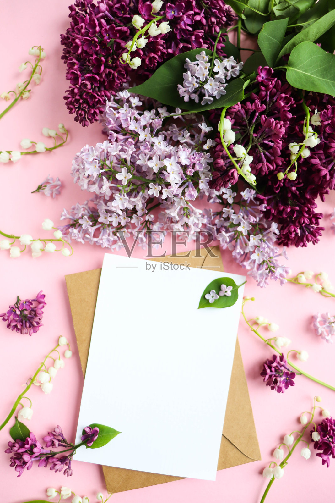 明信片模型。丁香花束和文字空间照片摄影图片