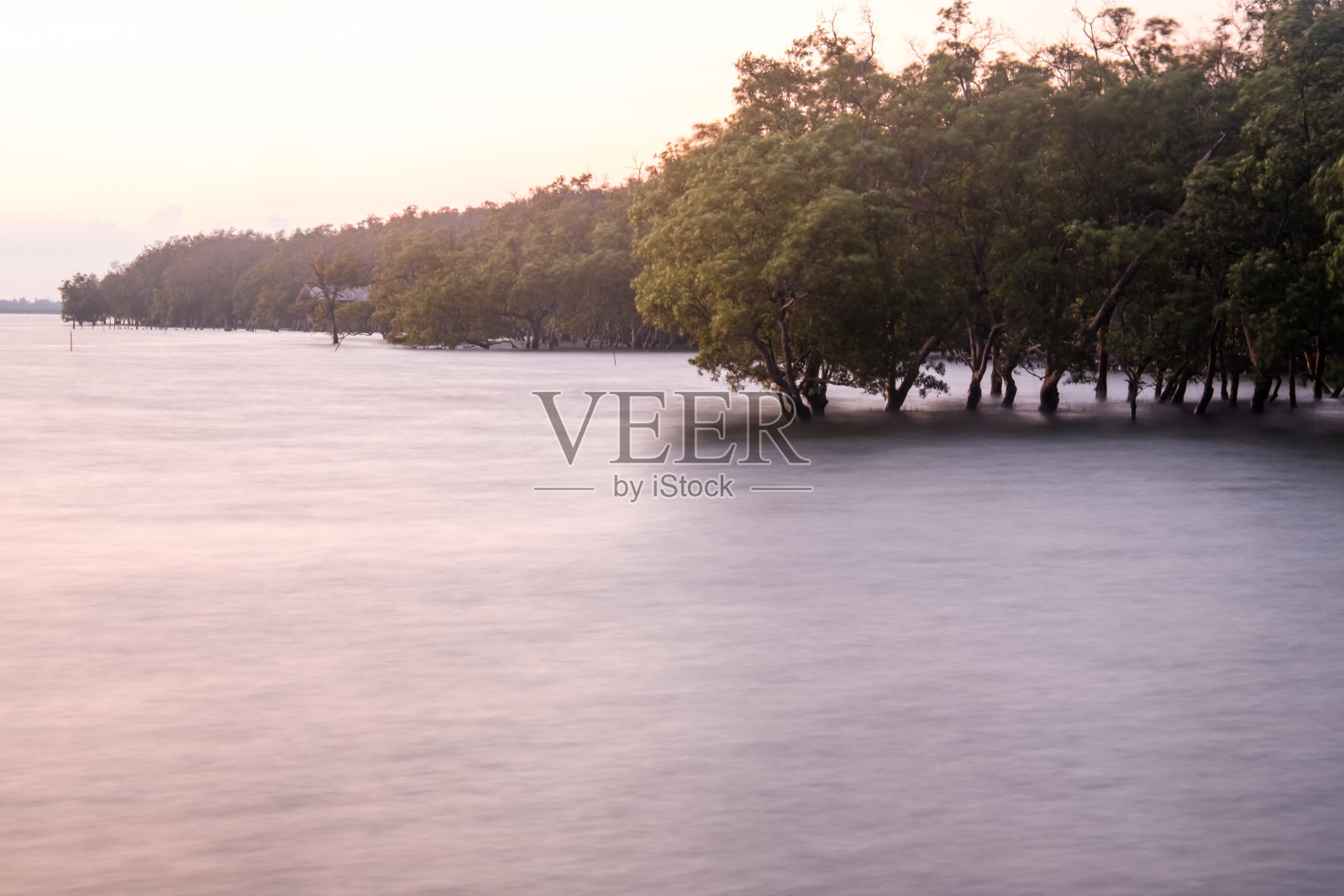 黄昏时海面上长时间的风平浪静，红树林自然保护环境照片摄影图片