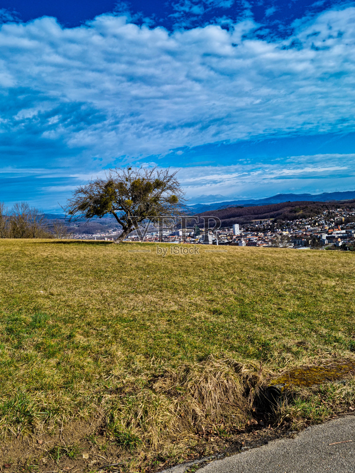 Tullinger Berg, Loerrach, Basel，我们是Rhein照片摄影图片