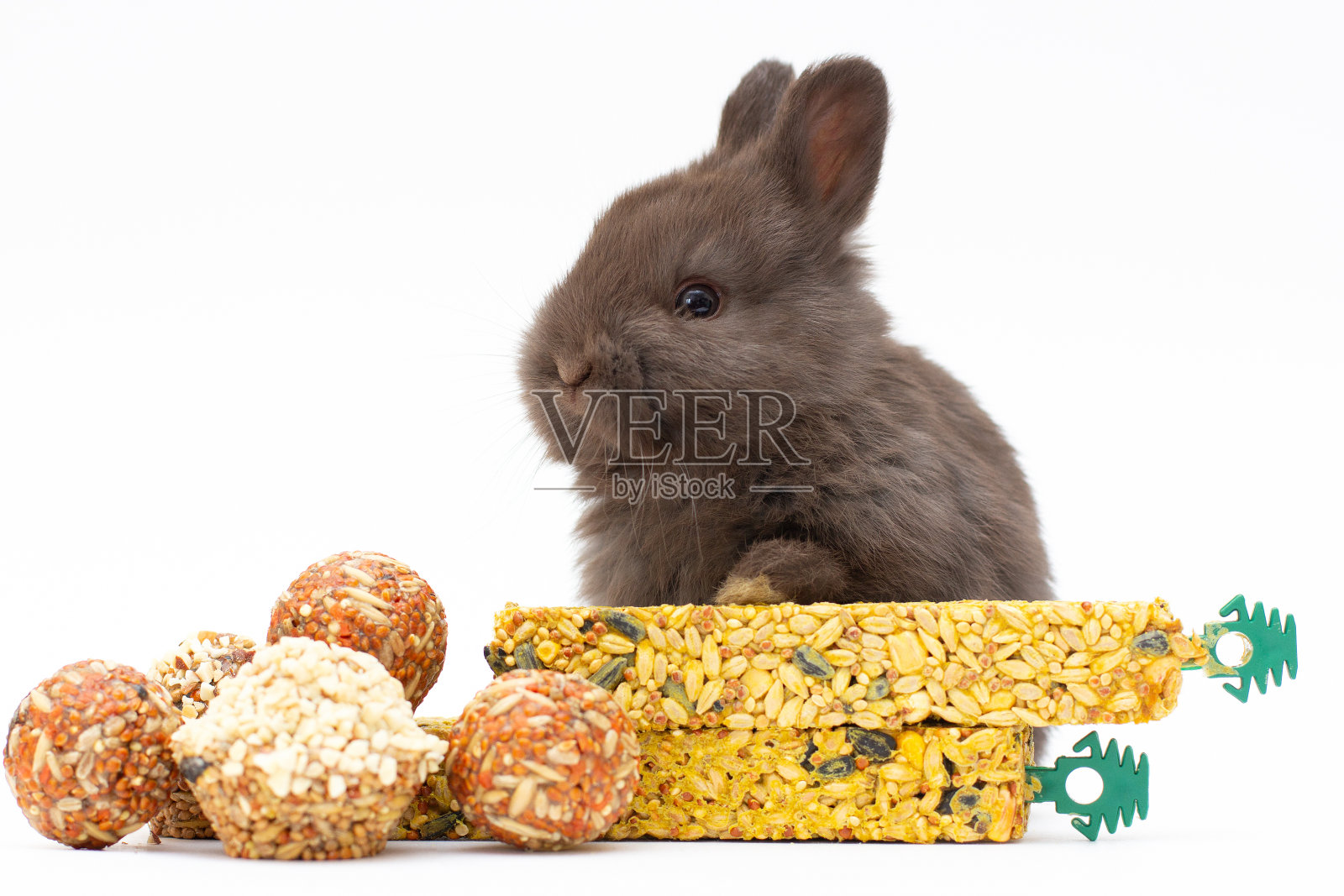 可爱的兔子在白色背景的桶里吃干玉米。照片摄影图片