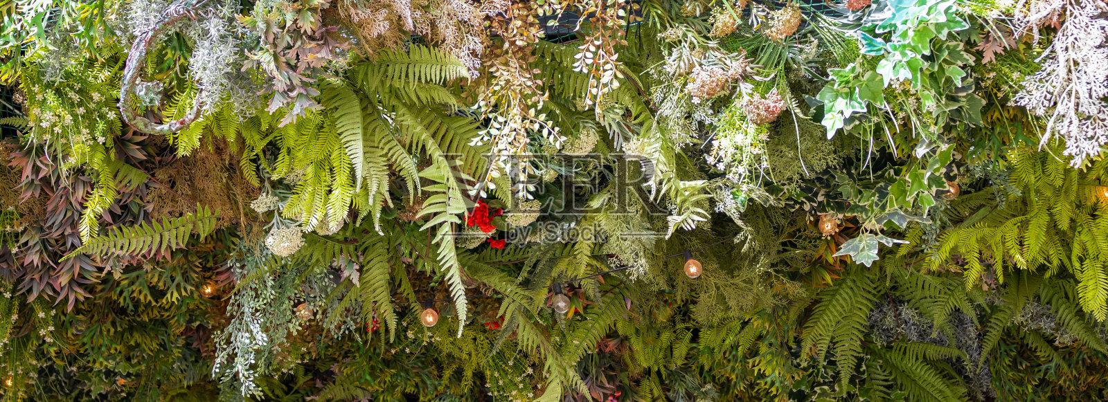 有绿叶和灯泡的屋顶照片摄影图片