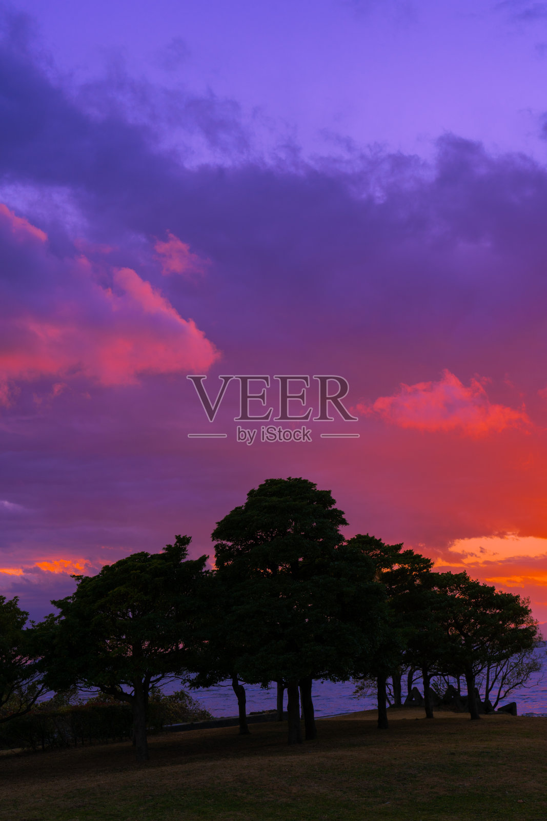 紫色的天空照片摄影图片