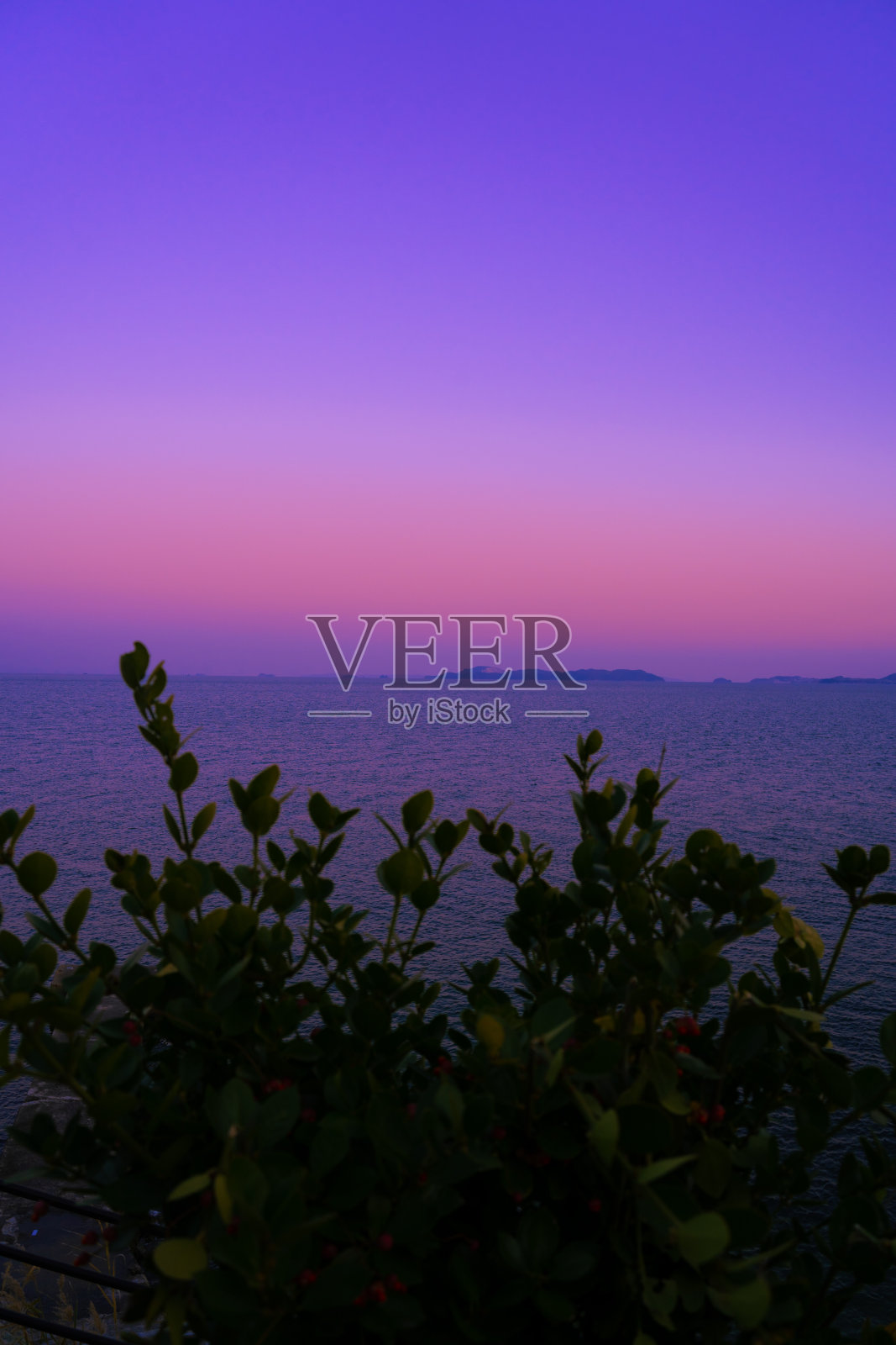 紫色的天空照片摄影图片