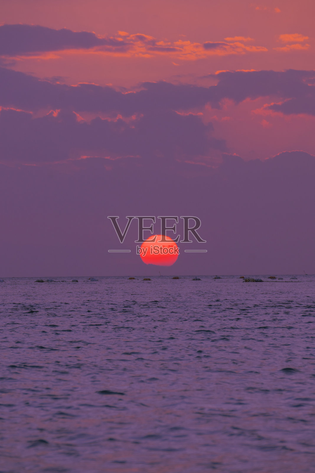 紫色的天空照片摄影图片