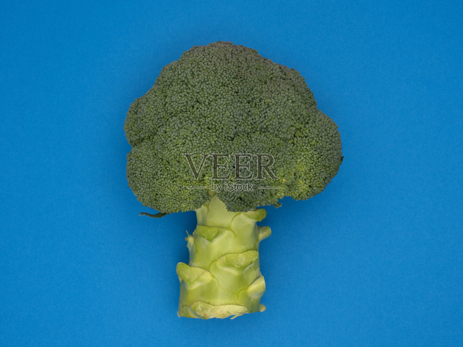 西兰花照片摄影图片