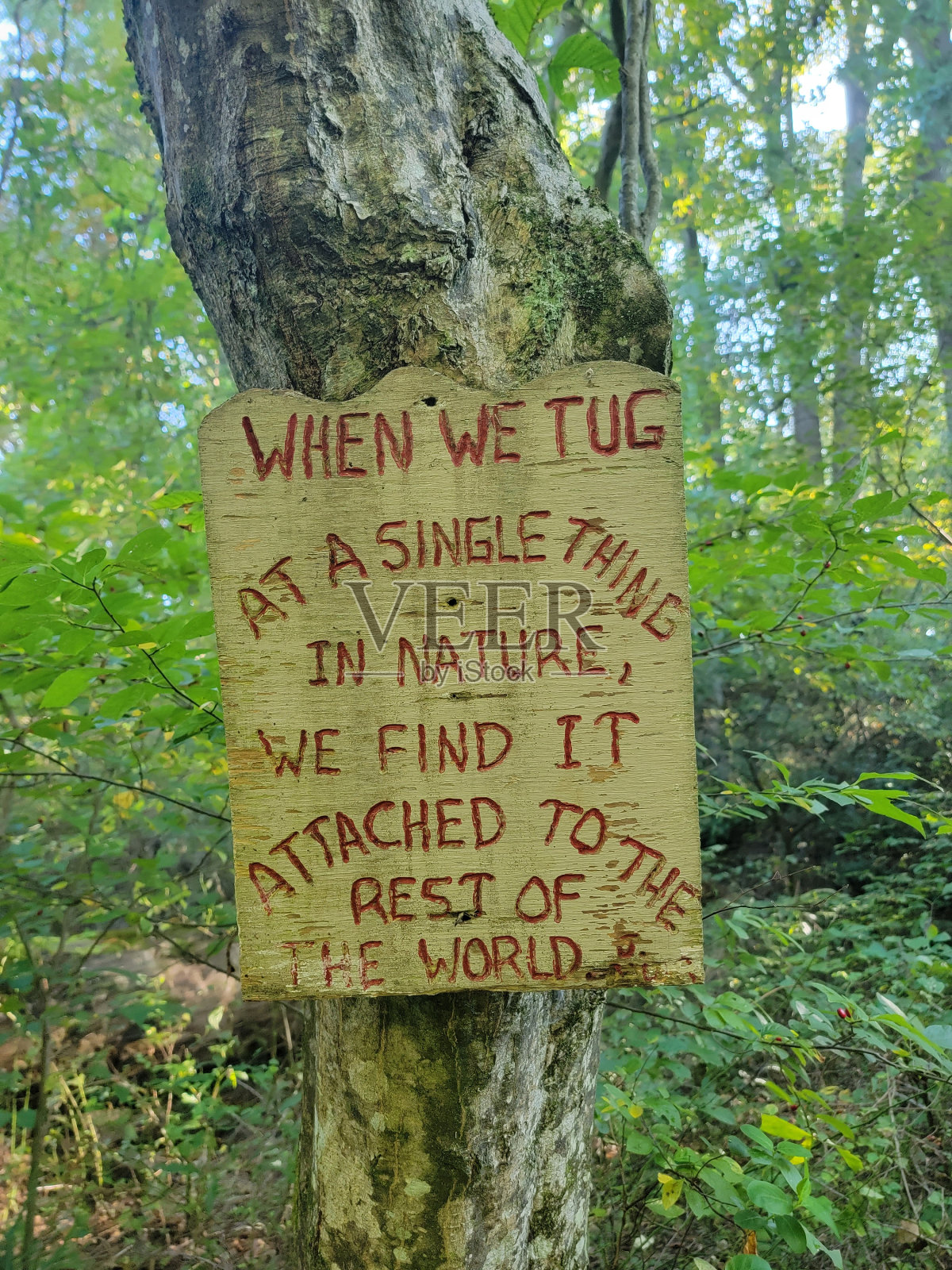 所有的连接照片摄影图片