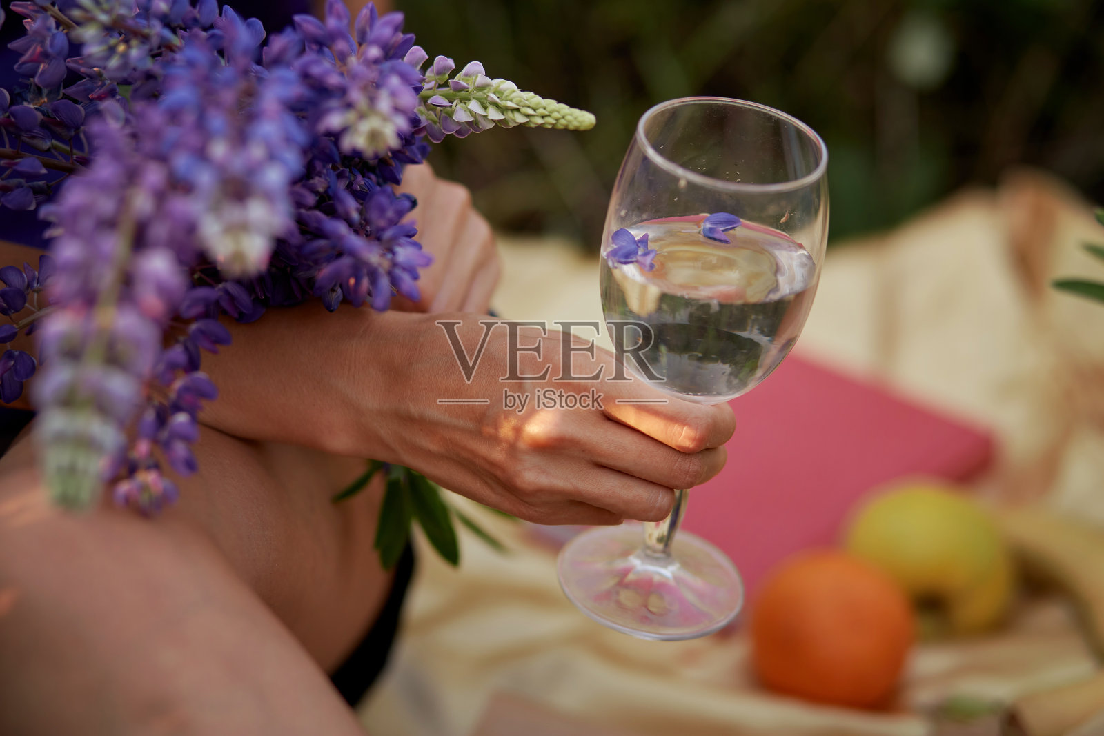日落时分，女子手持紫色羽扇豆酒杯。夏季野餐。健康、自然的概念。适应性的ayuverdic饮料概念。有意识的消费。额外的宽横幅。紫色字体照片摄影图片