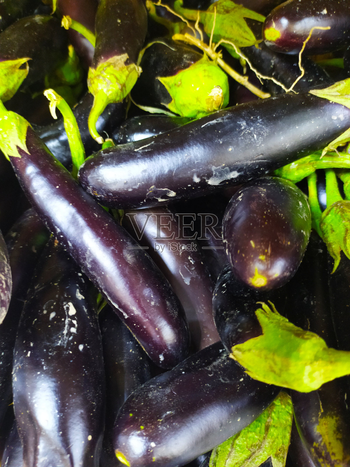 茄子照片摄影图片