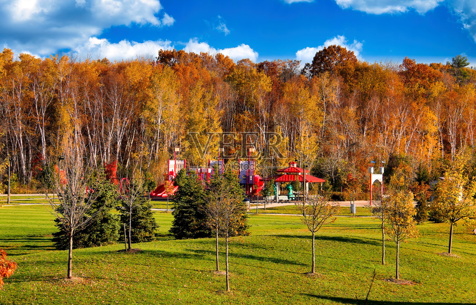 一个社区公园，秋天里有金色的树照片摄影图片