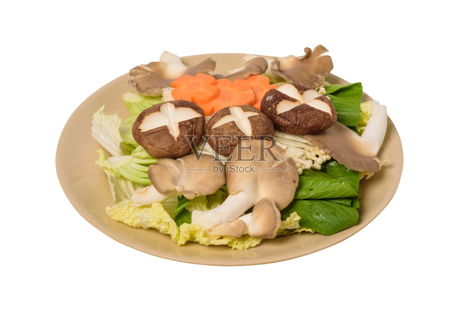 用来煮火锅的蘑菇照片摄影图片