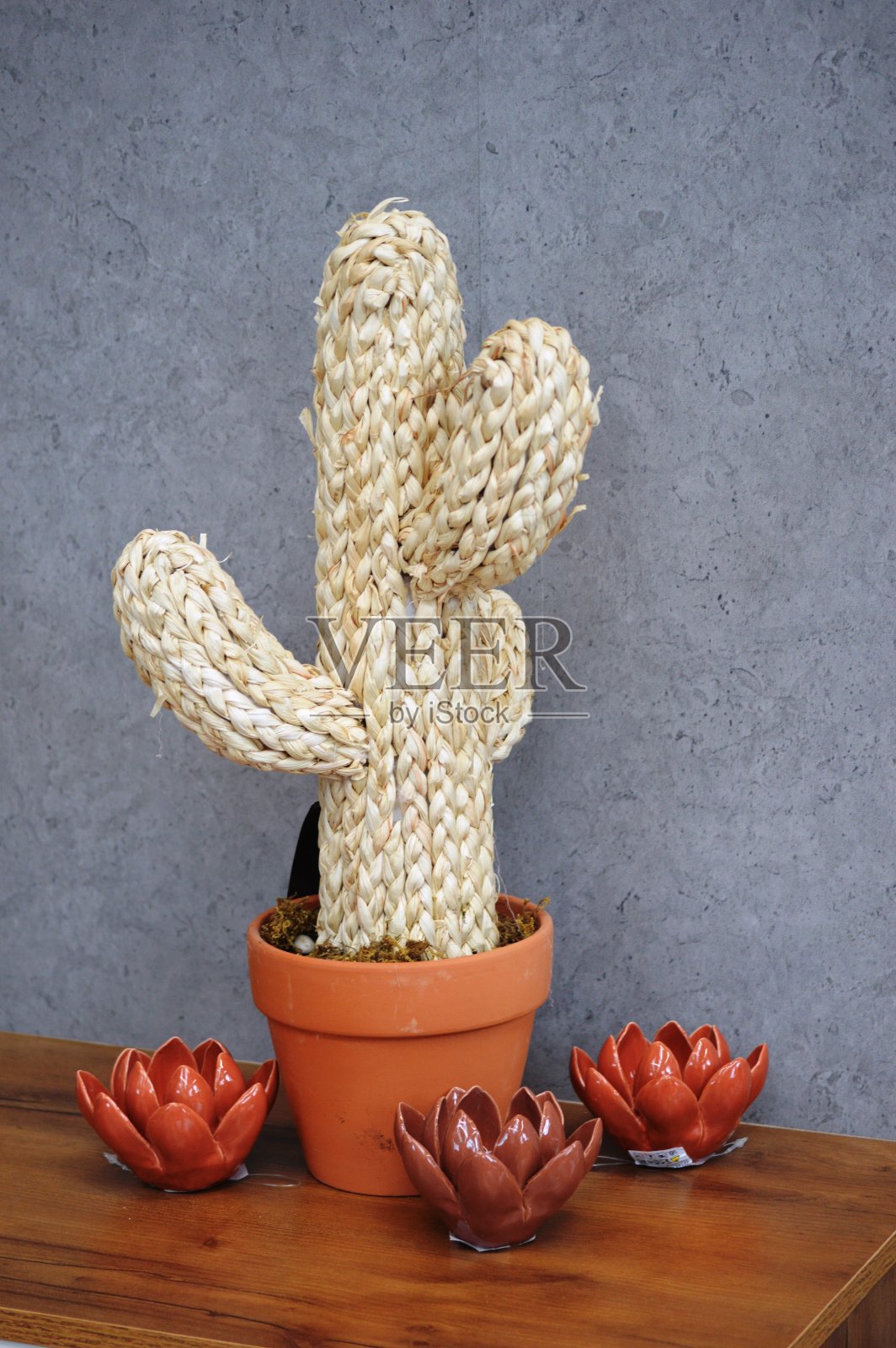 花卉静物照片摄影图片