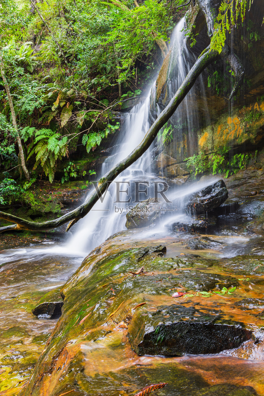 瀑布和国家公园照片摄影图片