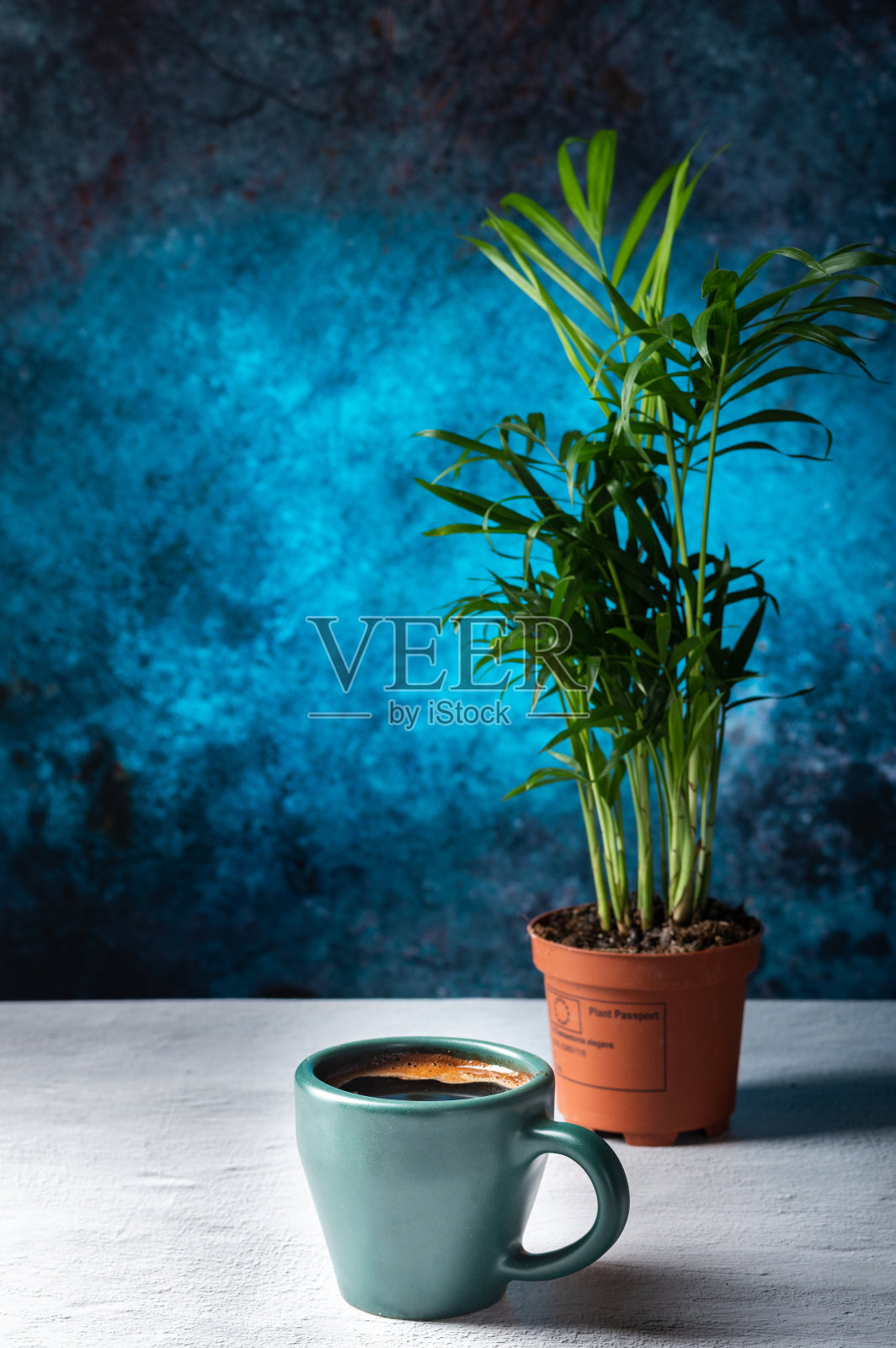 桌上和花盆里有热咖啡。舒适的咖啡环境。照片摄影图片