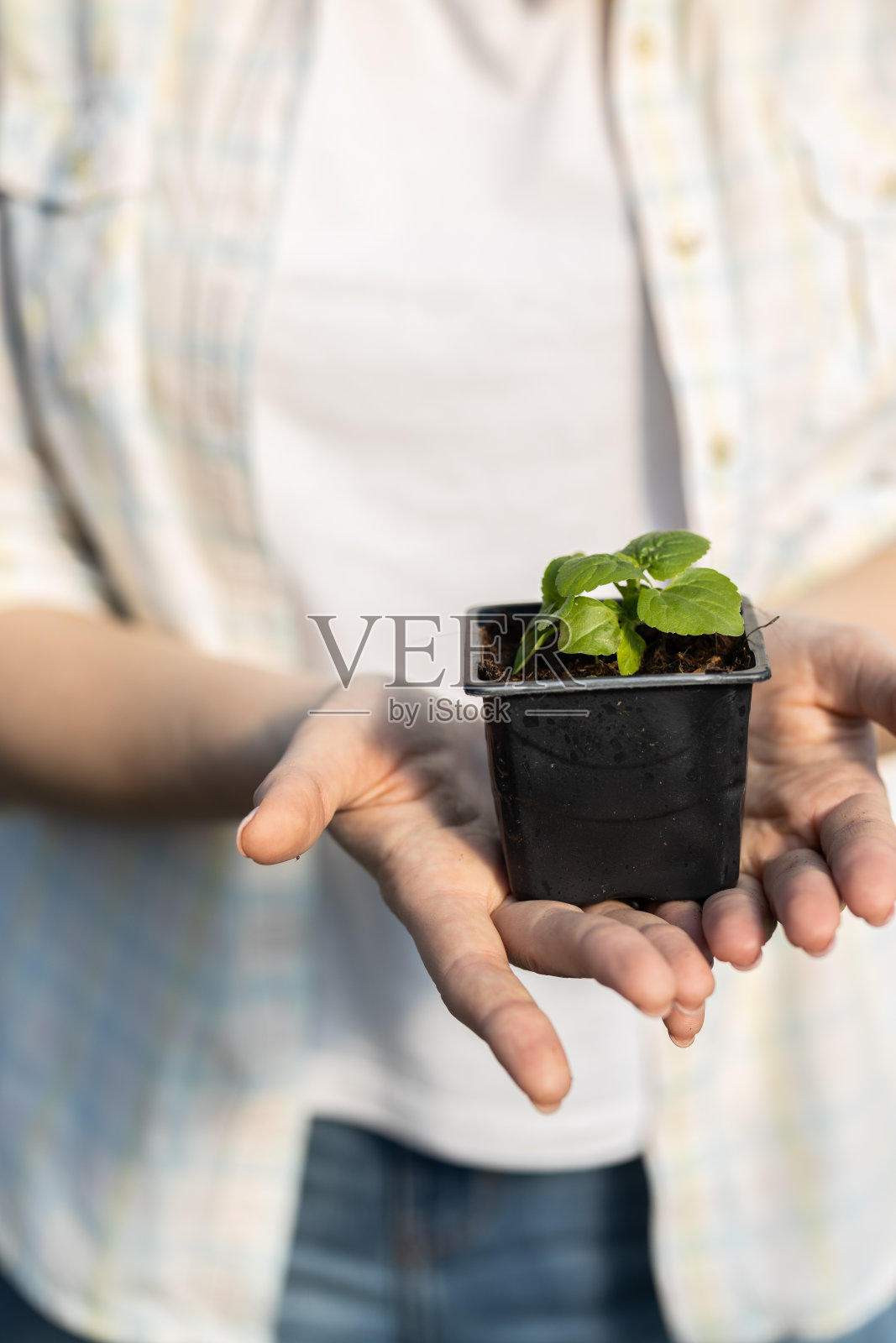 花园里的年轻女子照片摄影图片