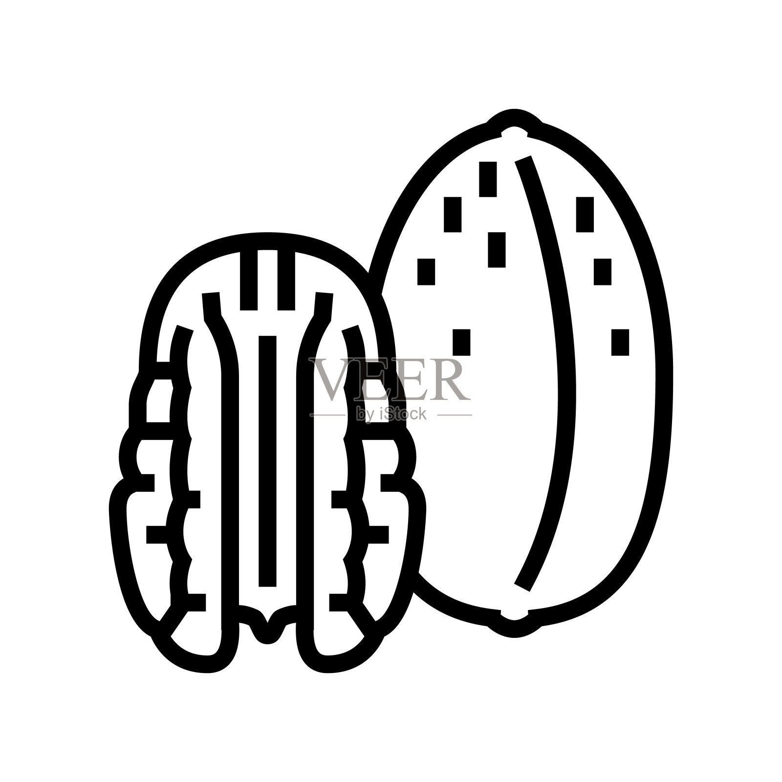 山核桃线图标矢量插图插画图片素材