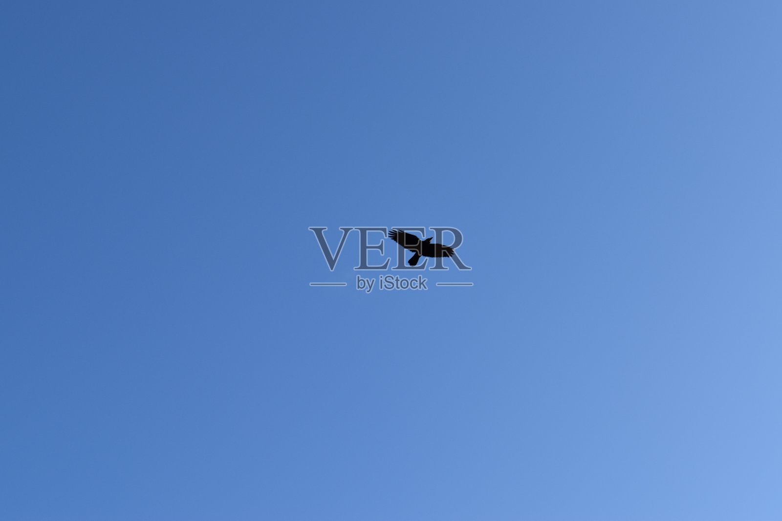 自由。照片摄影图片