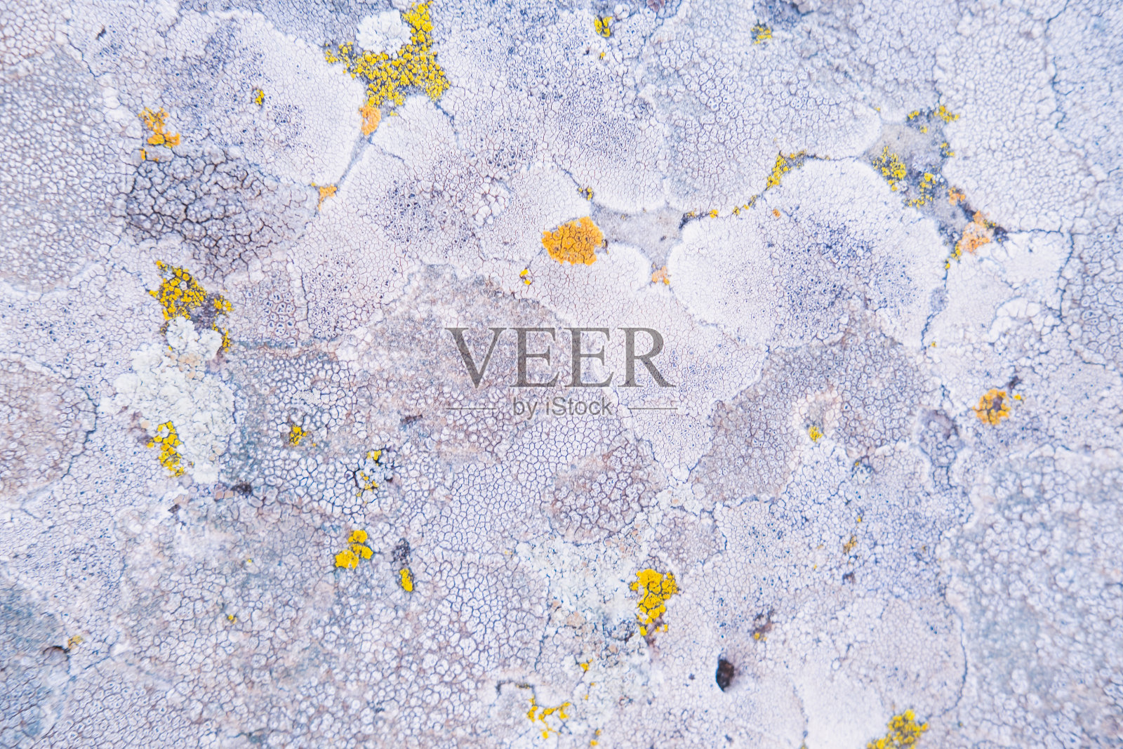 纹理的老石头关闭。自然背景与石头图案，苔藓和从风和水的碰撞。照片摄影图片