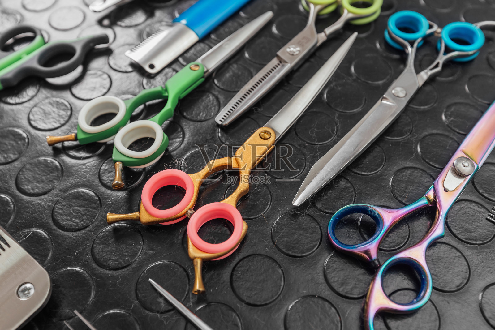 猫和狗的美容和指甲剪配件照片摄影图片