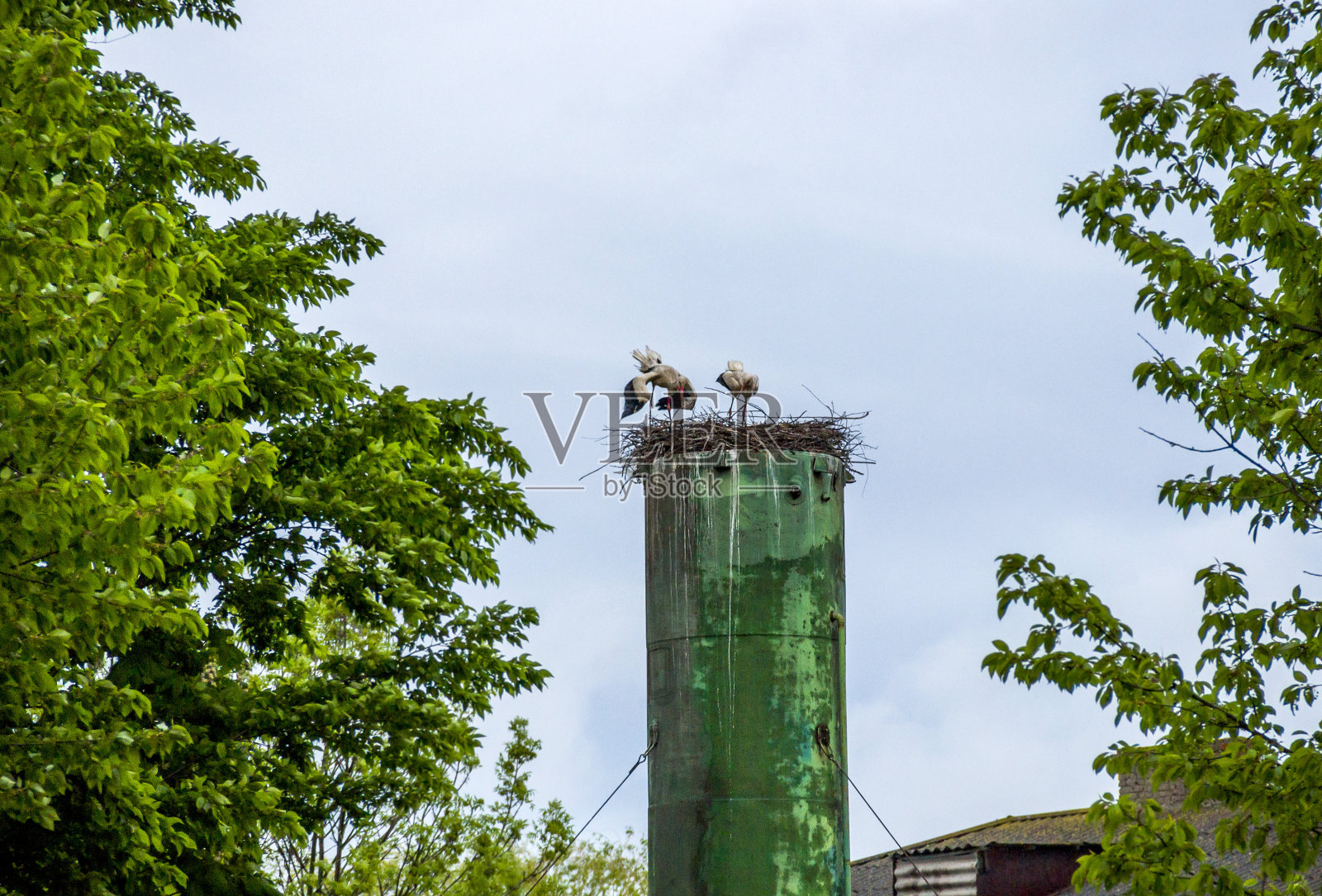 水塔顶部的白鹳巢照片摄影图片