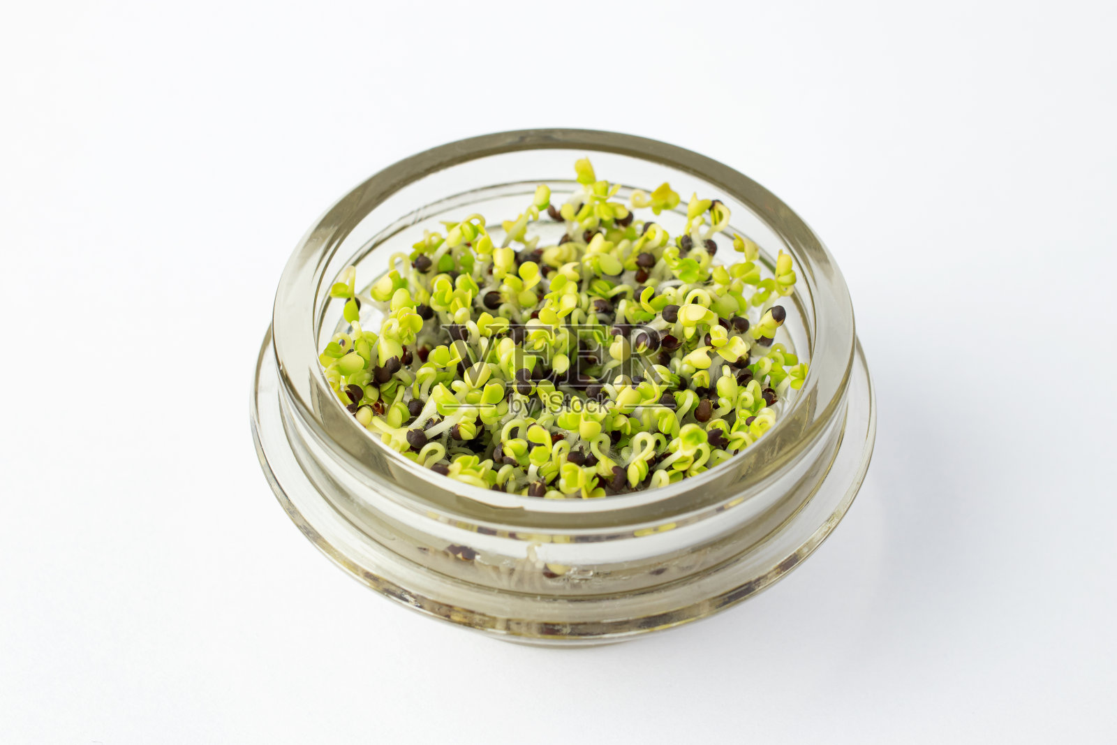 微微的绿叶，绿鲜的草，窗台上的菜园子。在家自学微绿化照片摄影图片