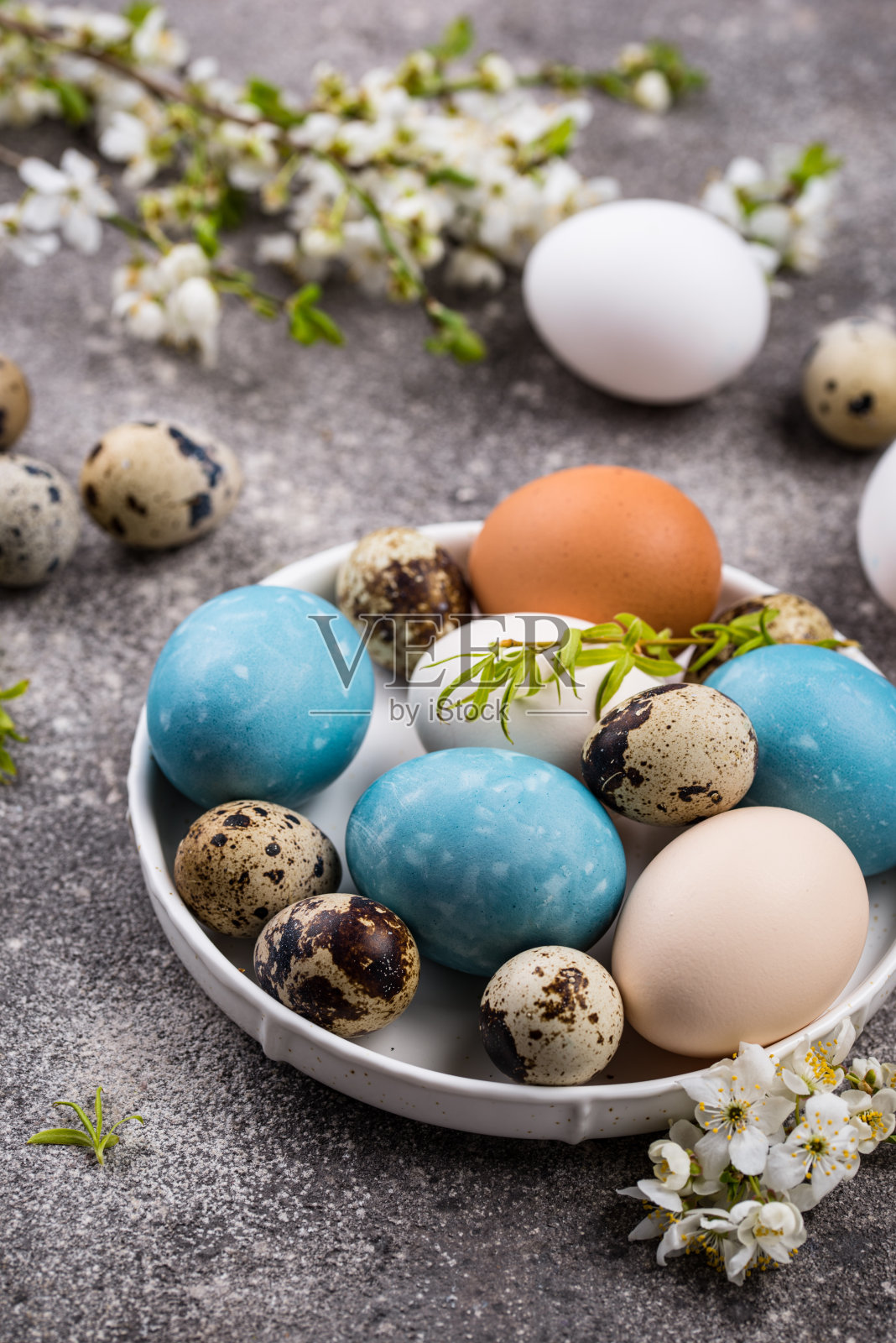 蓝色的复活节彩蛋照片摄影图片