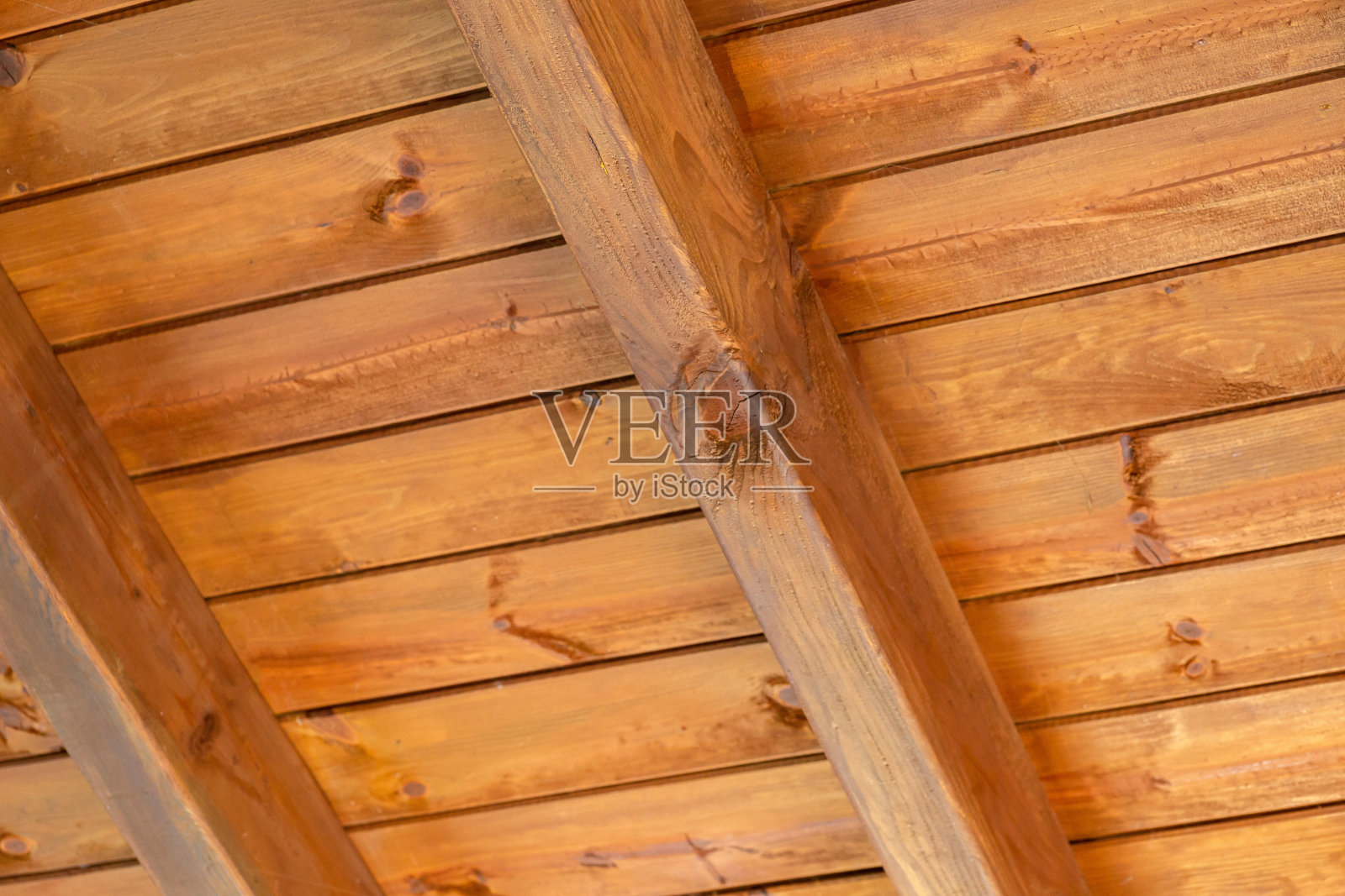 树屋的硬木屋顶。照片摄影图片