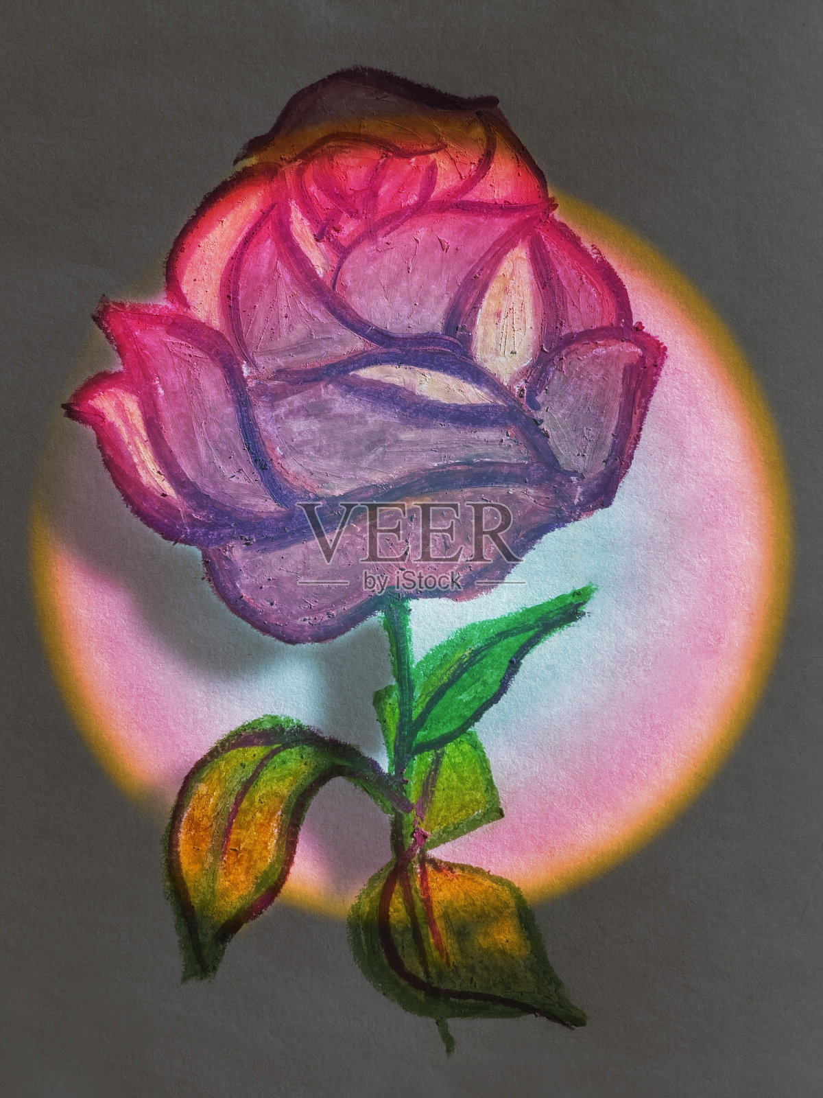 聚光灯下的玫瑰插图插画图片素材