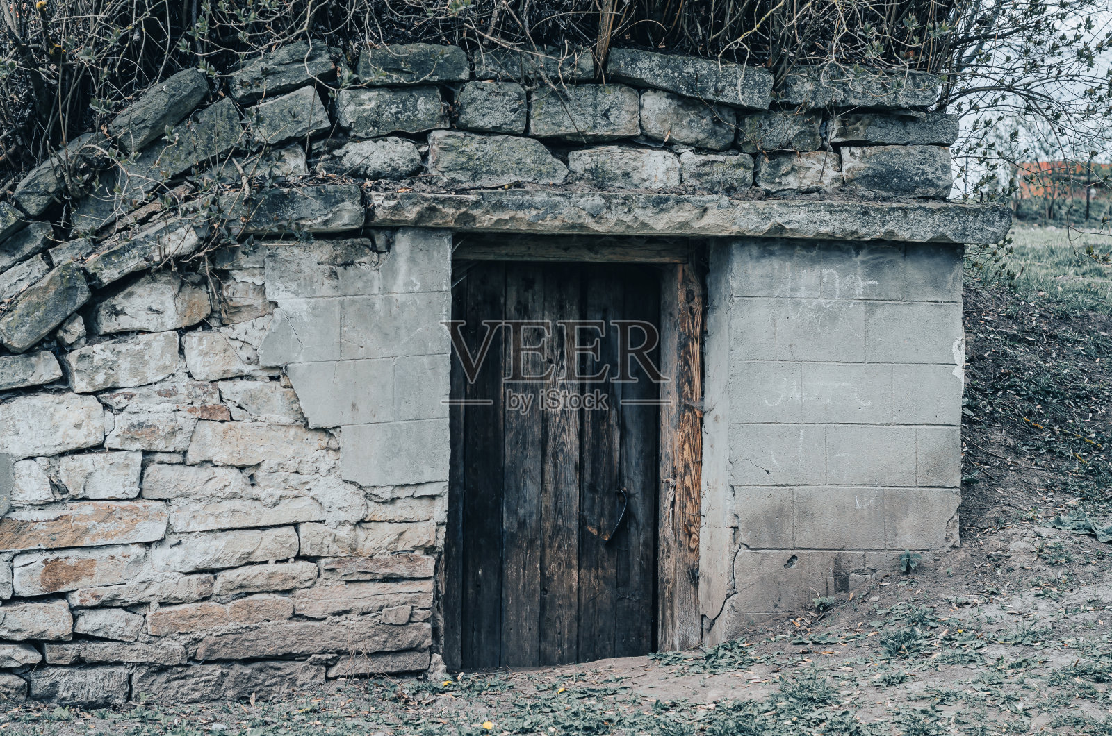 乡村的石头地下室或酒窖，用来储存酒和食物。木门。照片摄影图片