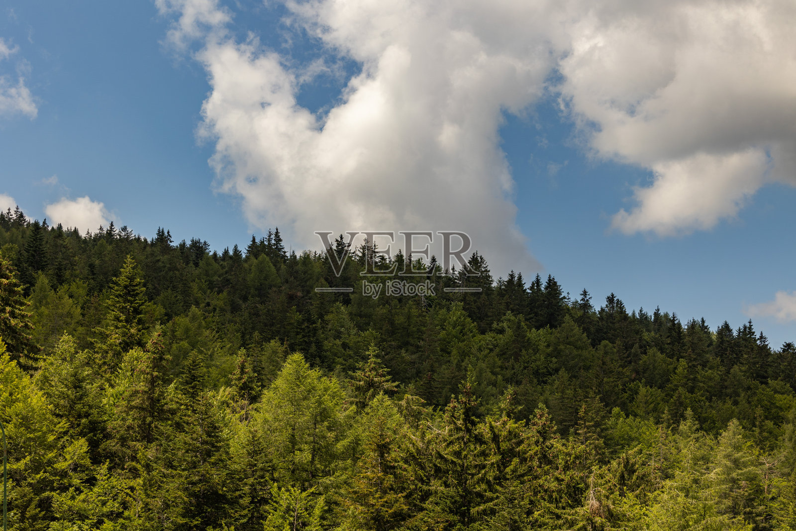 白天白色和灰色的积云在蓝色的天空中移动，在夏天的山上绿色的森林照片摄影图片