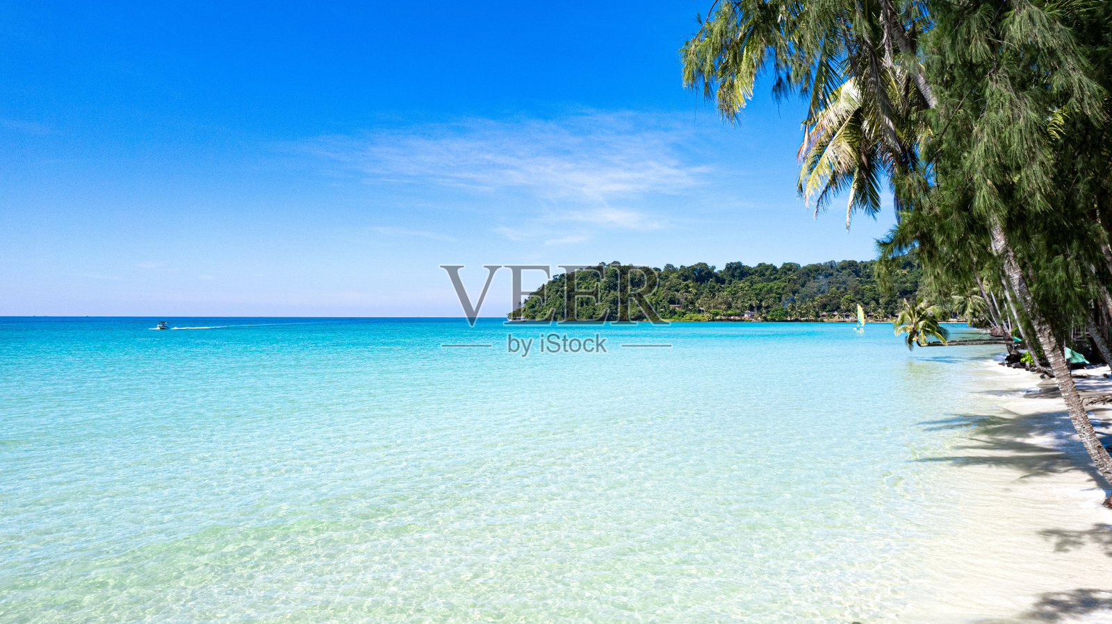 从空中俯瞰蔚蓝的海水，白色的沙滩和丰富的森林自然照片摄影图片