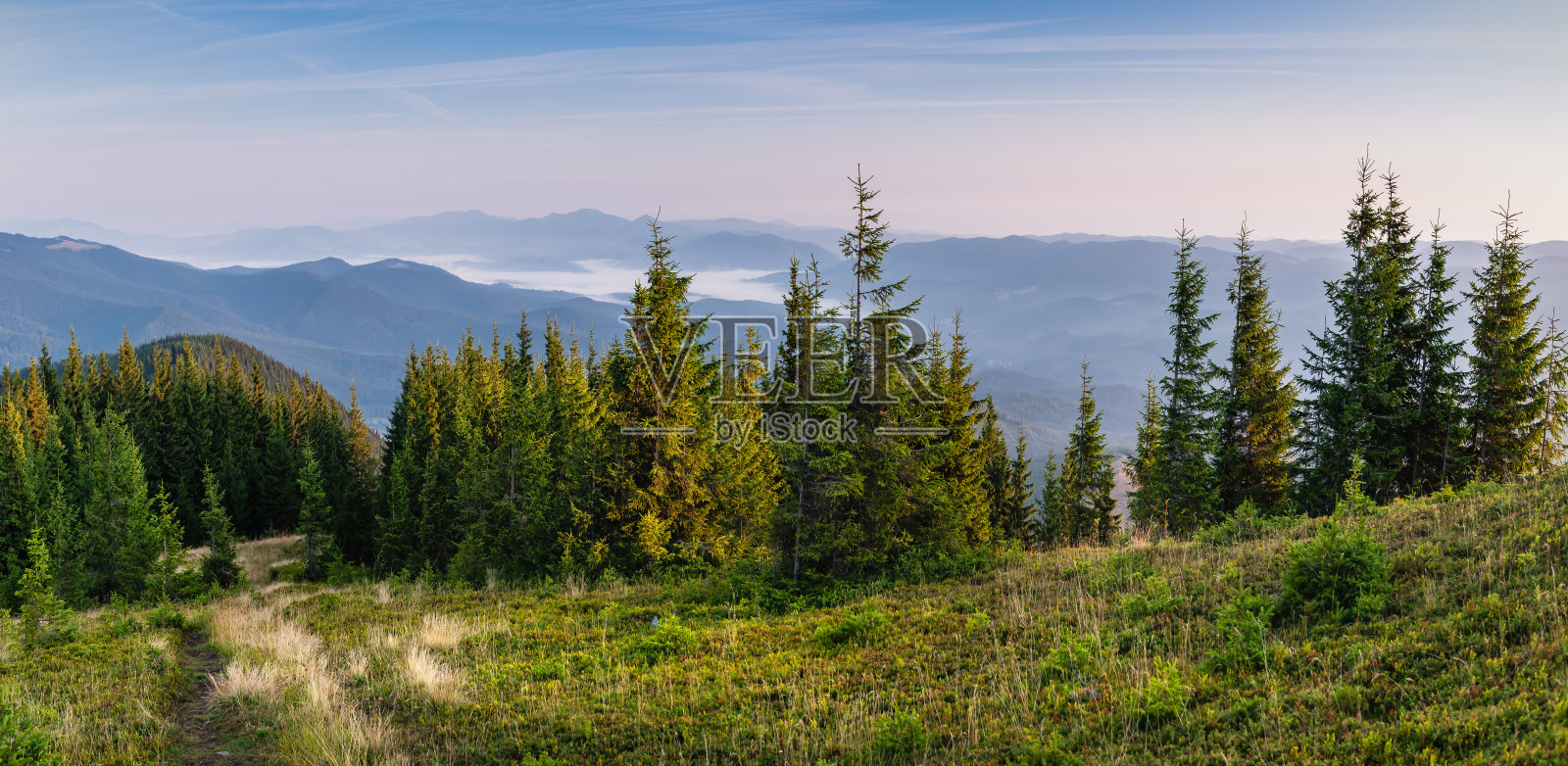 喀尔巴阡山脉夏日清晨的全景。明亮的风景。自然之美，背景之概念照片摄影图片