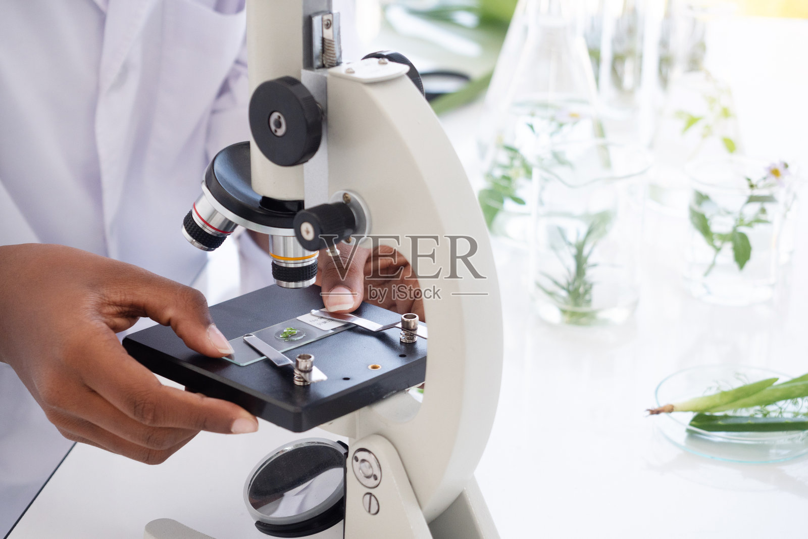 特写显微镜。非洲科学家在实验室里用显微镜拍摄。照片摄影图片