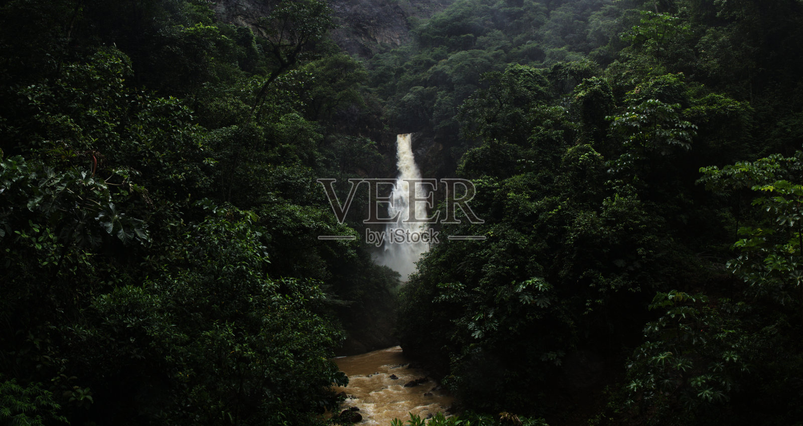 热带雨林中的瀑布景观照片摄影图片