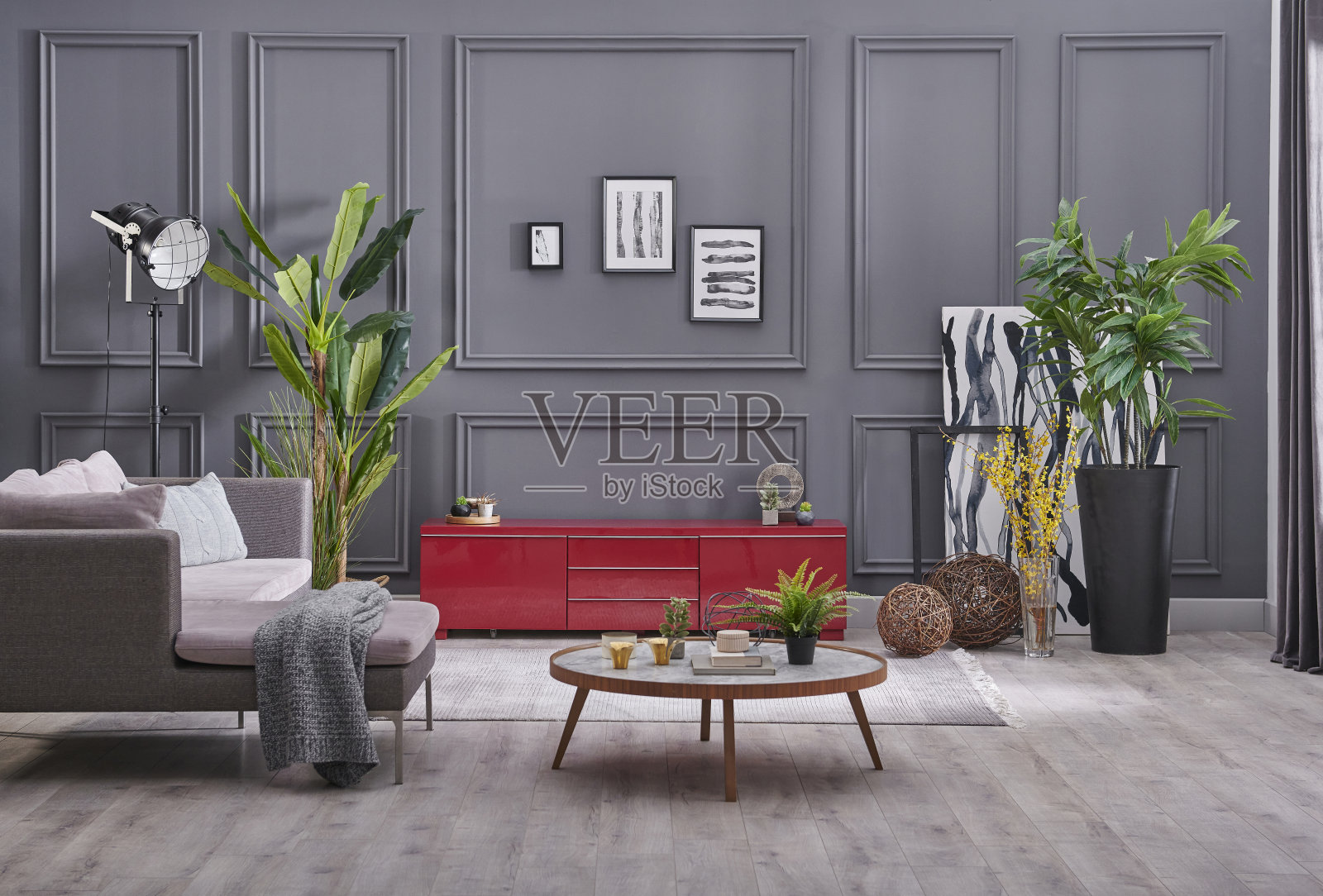 灰色客厅电视单元配沙发，现代家装背景墙，绿色植物风格。照片摄影图片