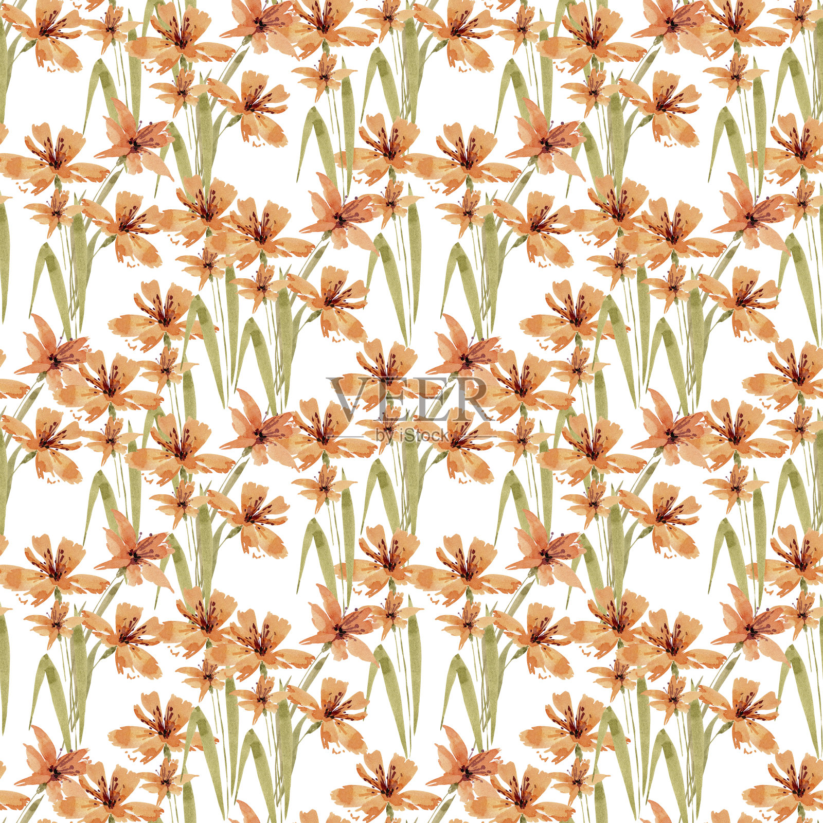 无缝水彩图案与橙花百合，手绘。插画图片素材