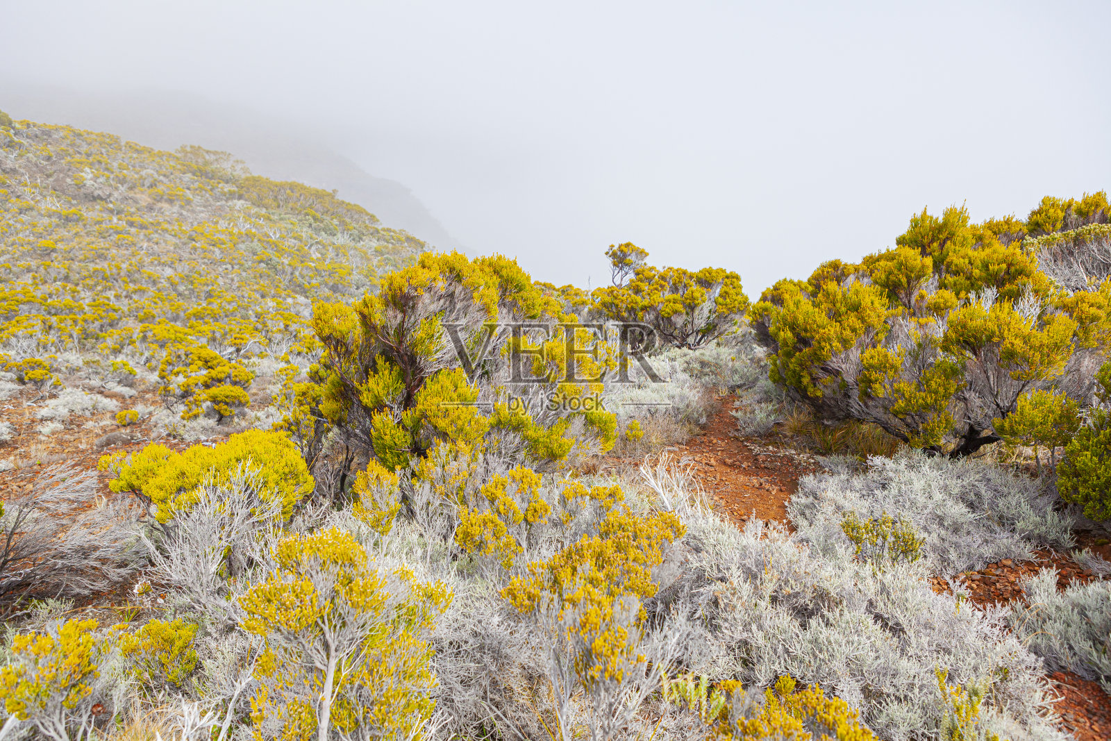 岩钉德拉富尔奈斯，云雾之间的红色地形——留尼旺岛照片摄影图片