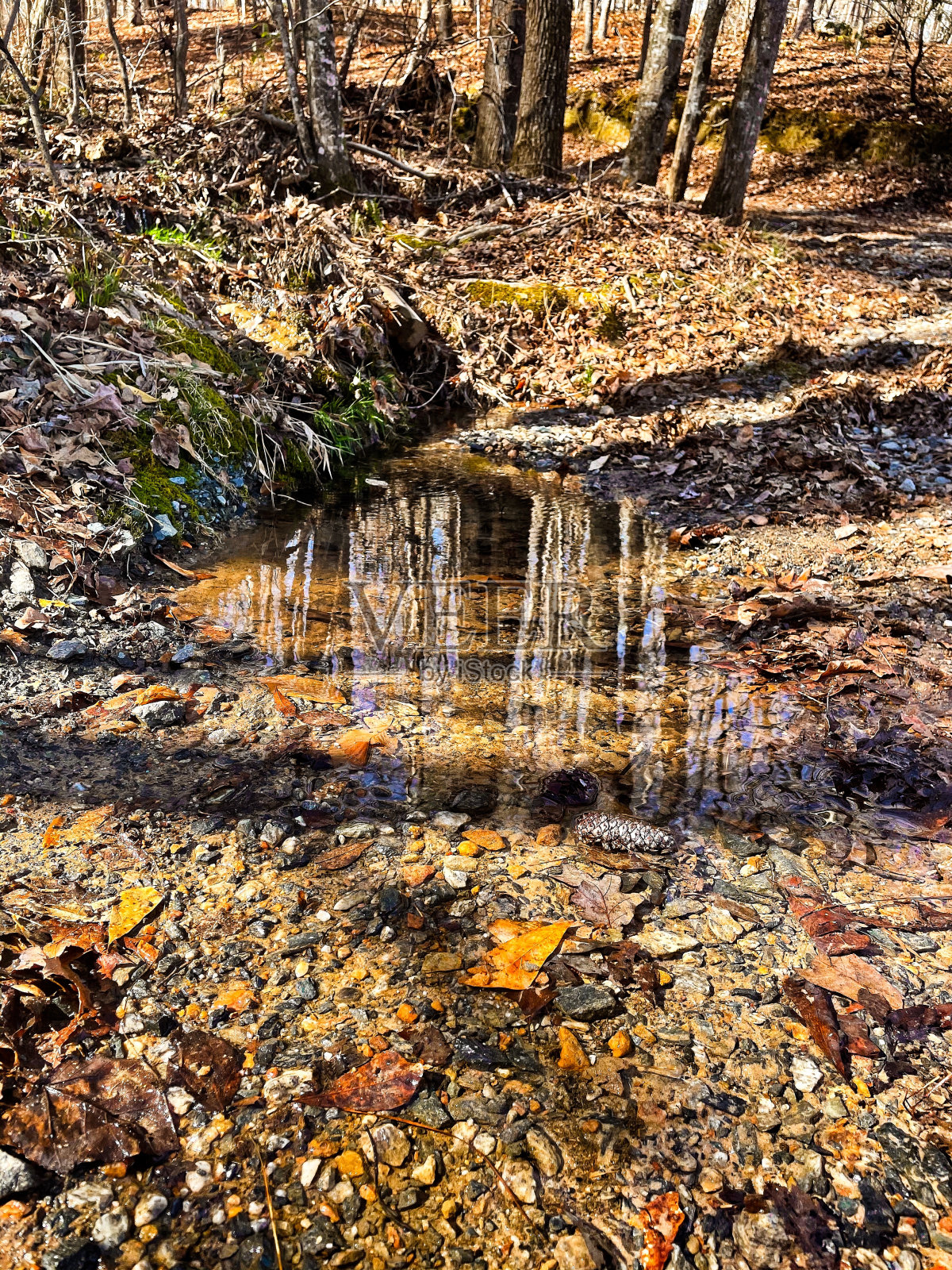 斯威特沃特河照片摄影图片