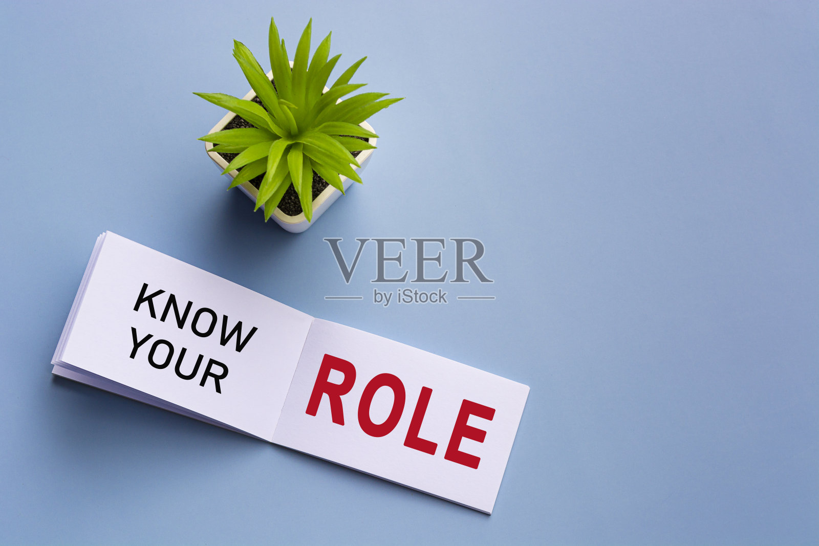 在蓝色背景的盆栽植物记事本上的文本。照片摄影图片