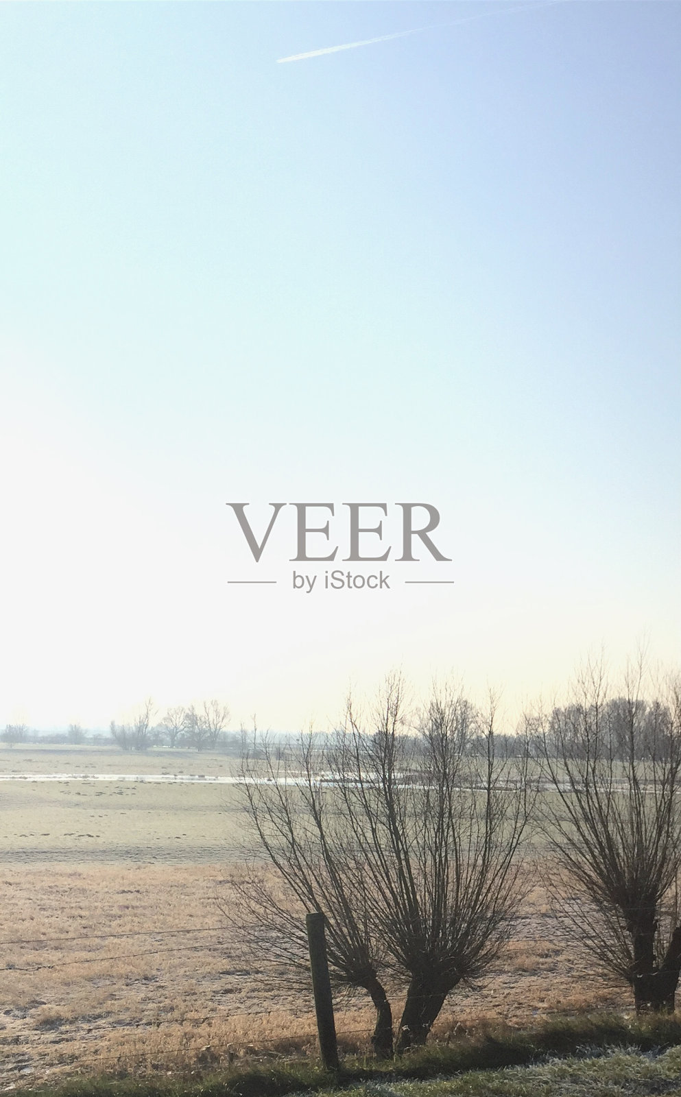 荷兰自然照片摄影图片