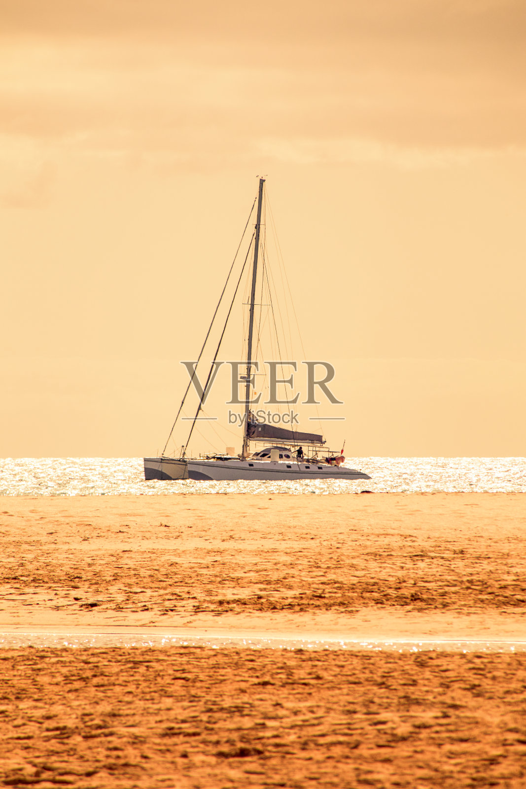 一艘双体船停泊在沙滩前照片摄影图片