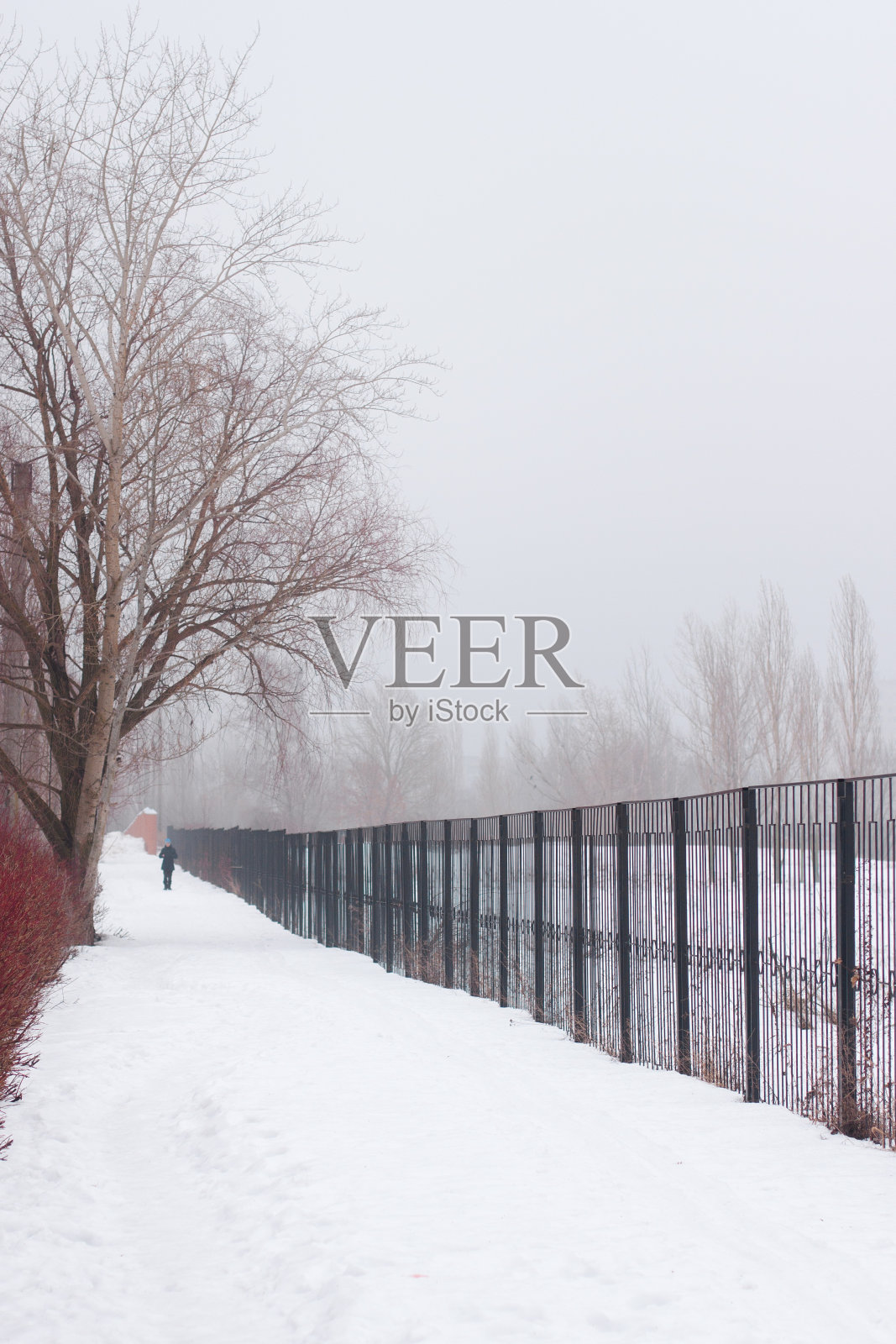 透视镜头里一个男人走向摄像机的剪影。雾中有一棵高高的光秃秃的树，还有一道黑色的栅栏照片摄影图片