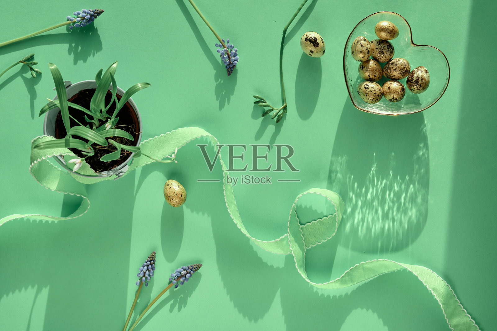 薄荷绿的春天复活节背景。粉红色的花，小苍兰，鹌鹑复活节蛋照片摄影图片