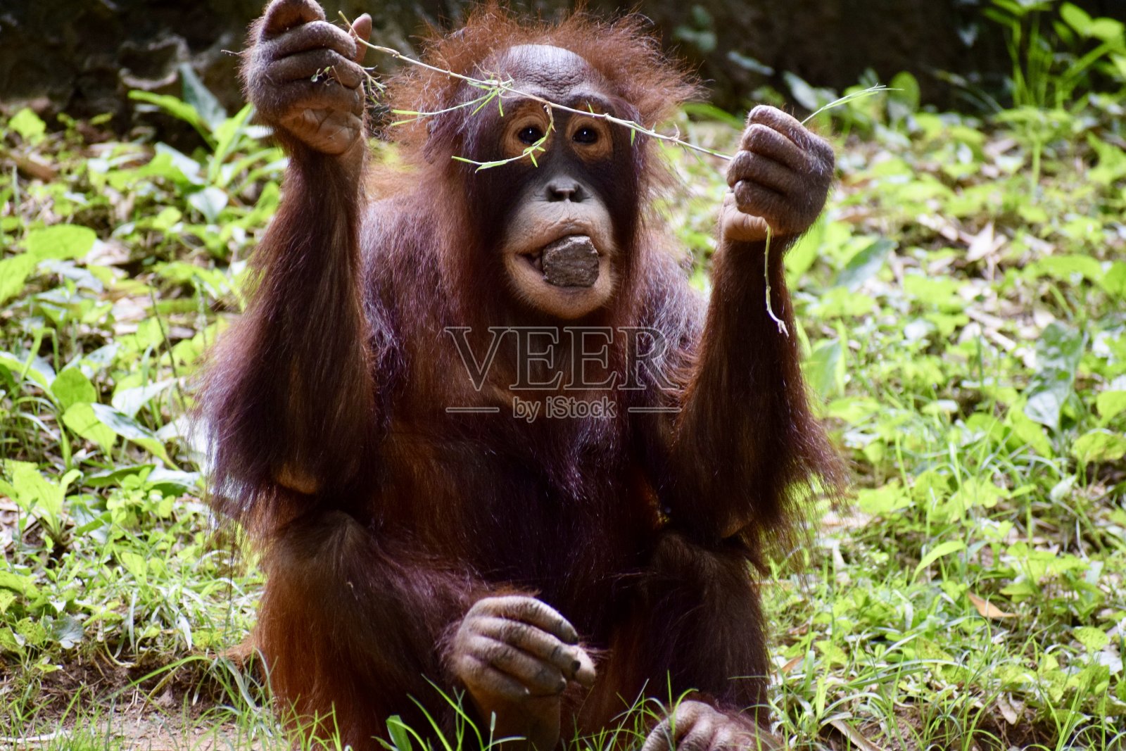 令人心寒的照片摄影图片