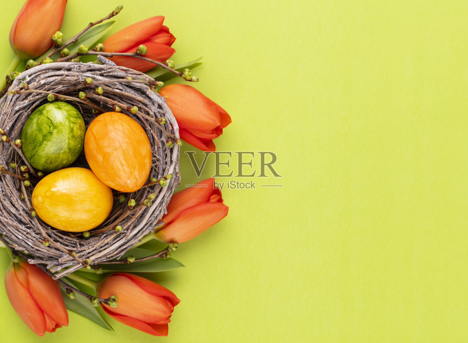 复活节彩蛋在巢里。春天花郁金香。照片摄影图片