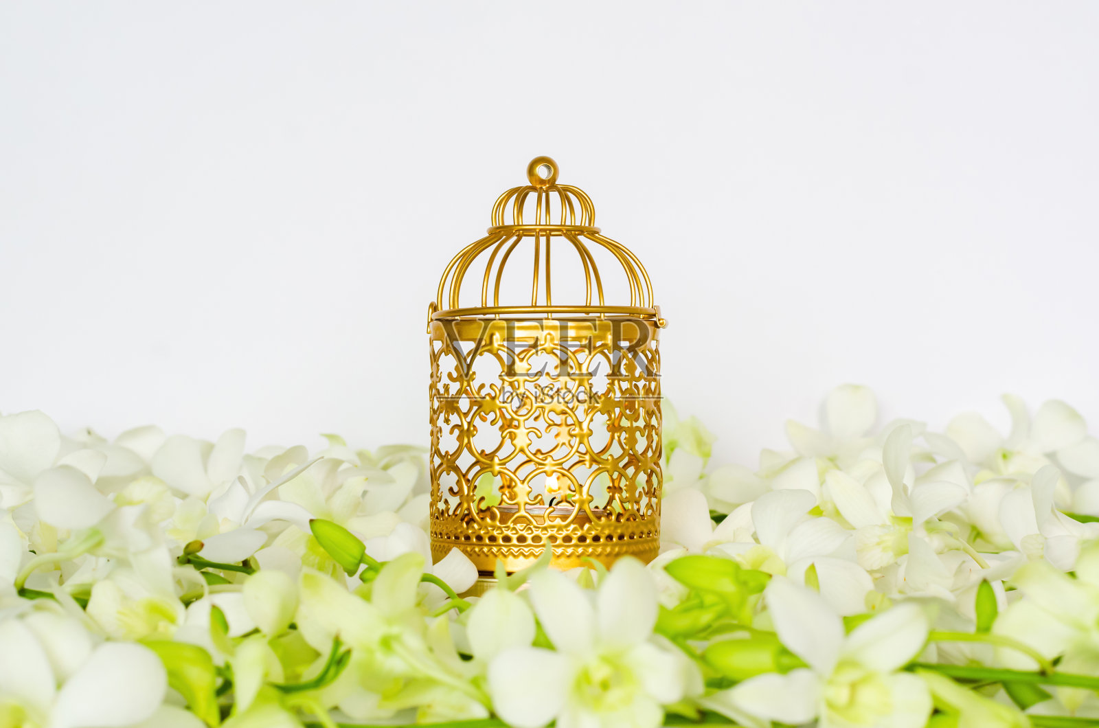 金灯白兰花照片摄影图片