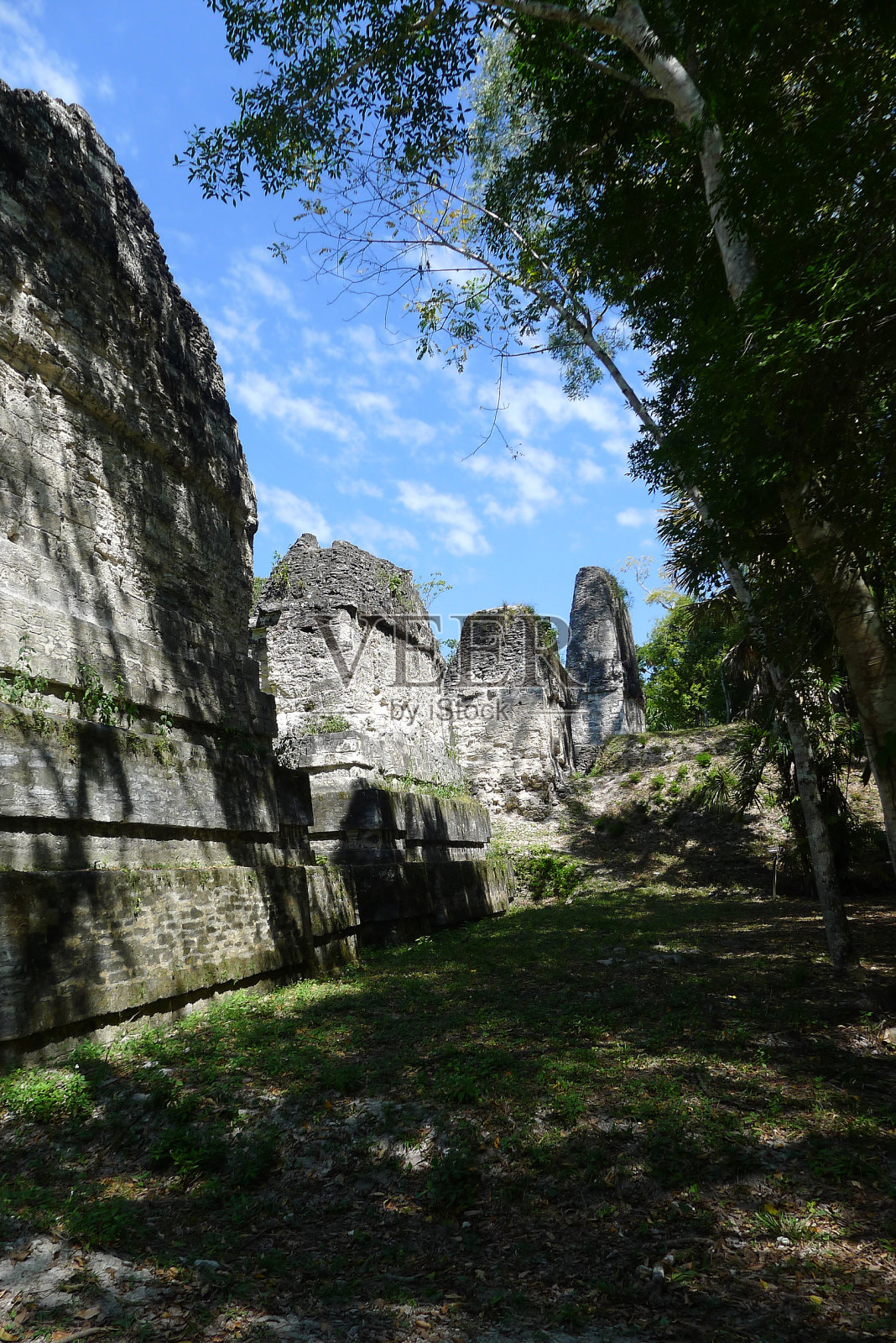 蒂卡尔国家公园照片摄影图片