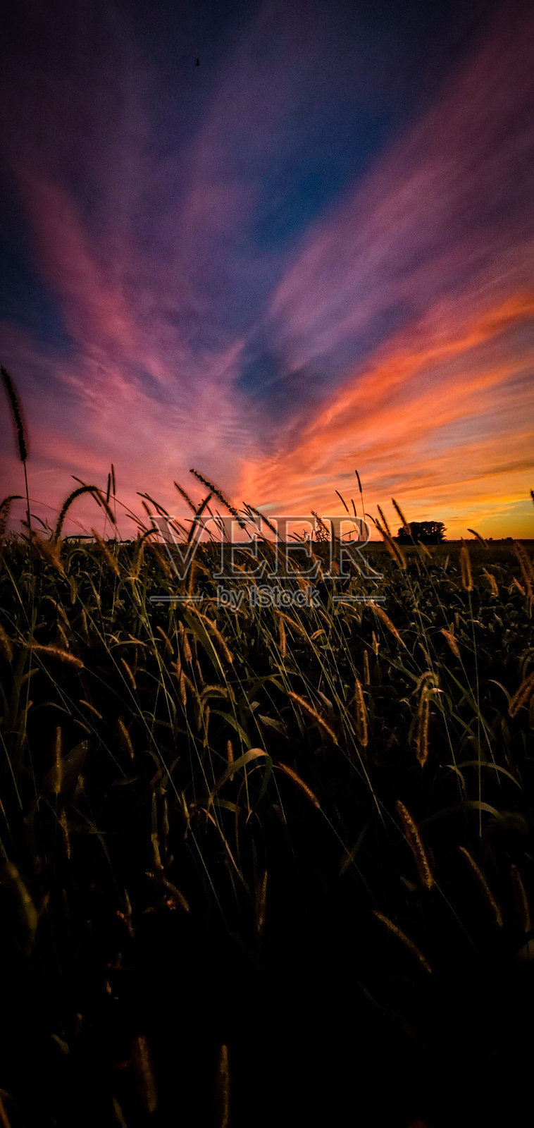 中西部乡村上空引人注目的日落照片摄影图片